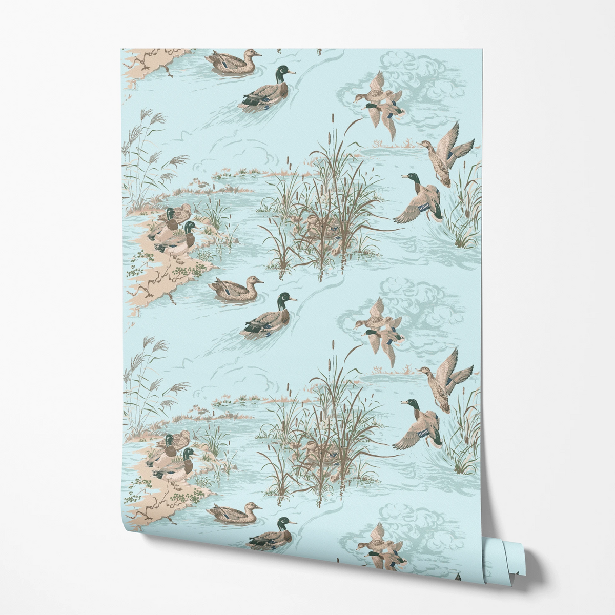 Mallard on Forestry Wallpaper