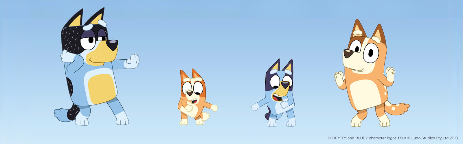Hero Banner Image