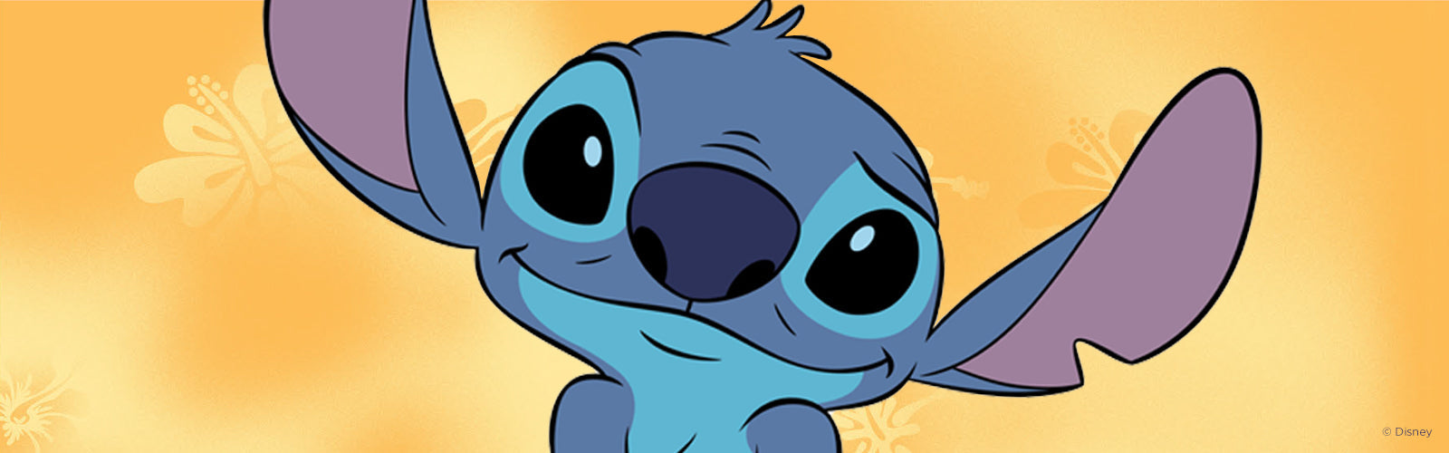 Hero Banner Image