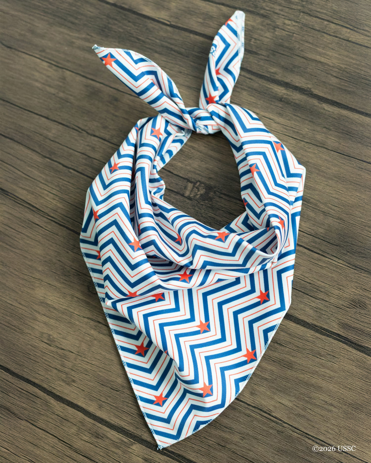 AMERICA250™ Chevron and Stars Bandana