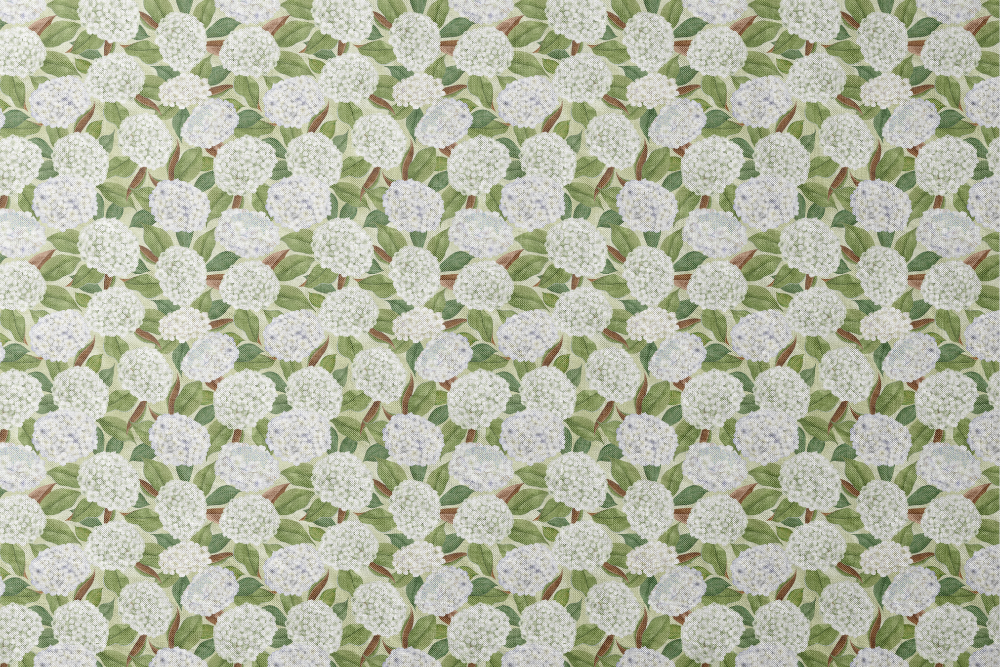 Realistic white hydrangea clusters with green leaves on a soft cream background, designed by Nicole Tamarin in a timeless botanical style. designs flat mockup