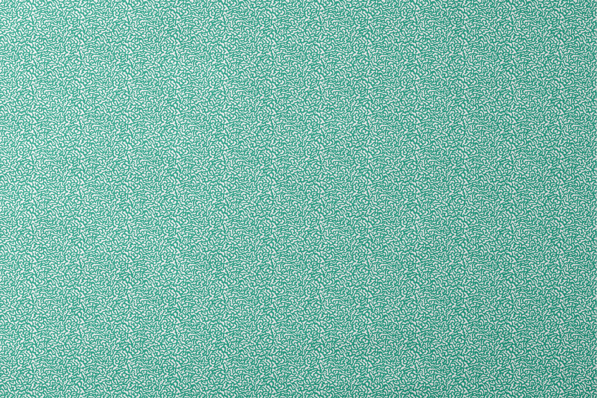 Abstract green and white pattern with organic swirling lines resembling coral or brain-like formations designs flat mockup