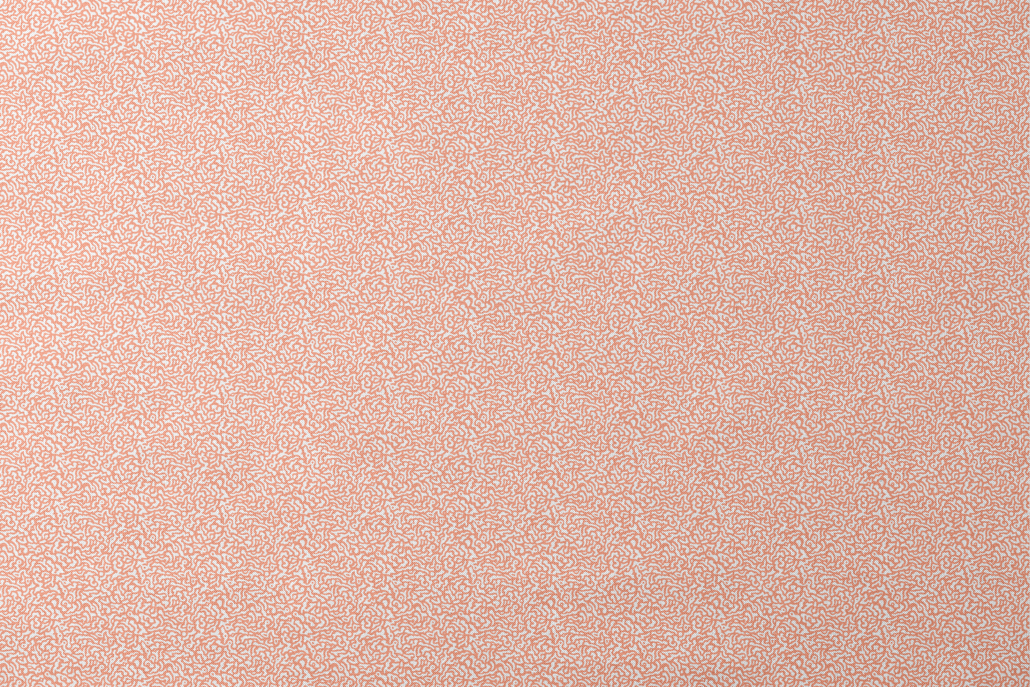 Coral squiggly pattern with organic, maze-like curves on white background designs flat mockup