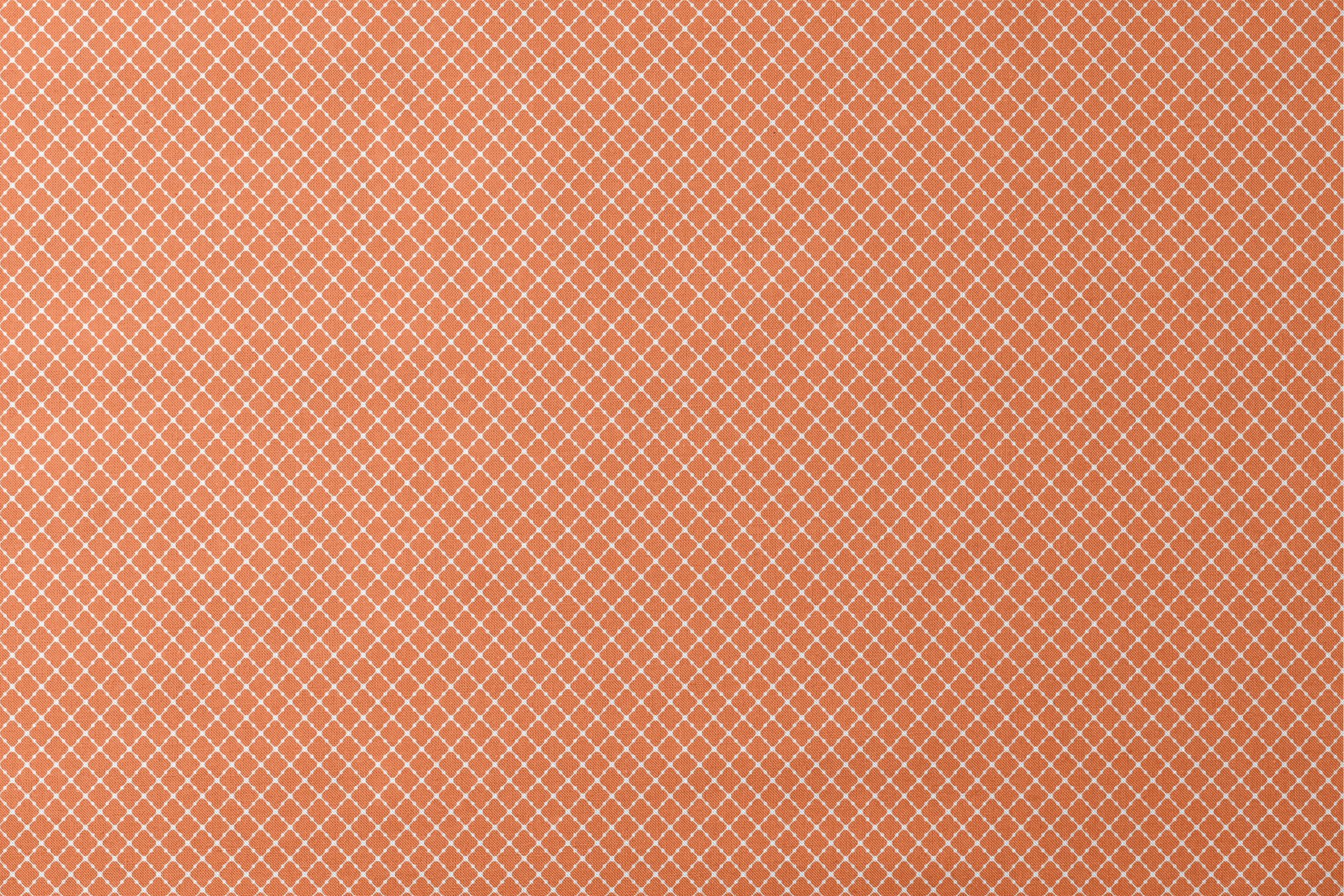 Burnt Orange and white quatrefoil pattern with smooth lattice design on orange background designs flat mockup
