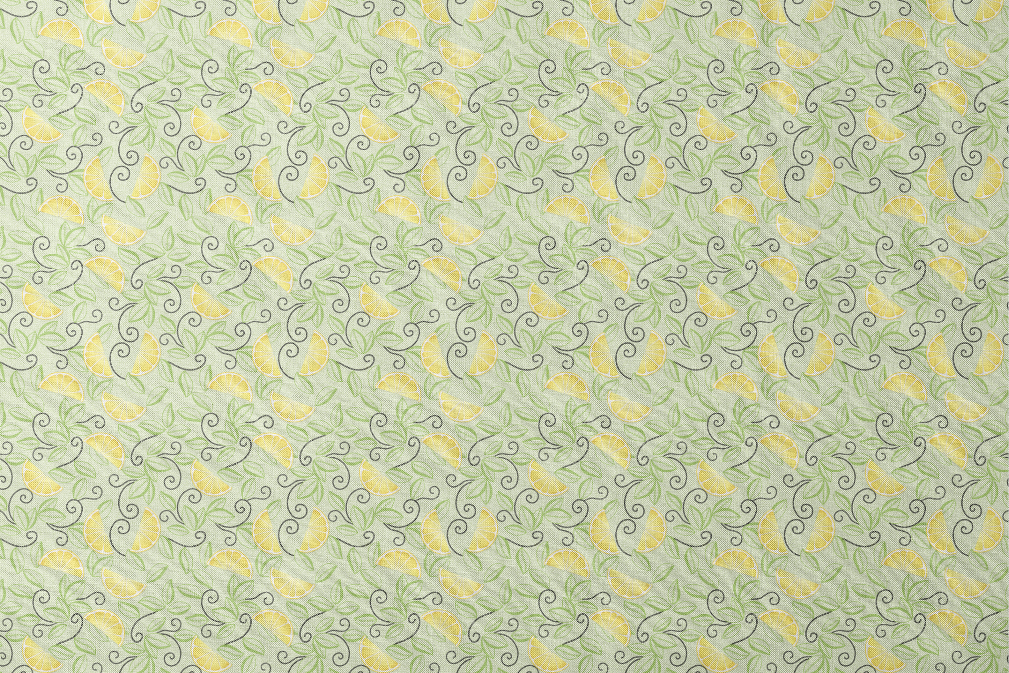 Yellow lemon slices with swirling green leaves on a soft green background in a playful, fresh layout. designs flat mockup
