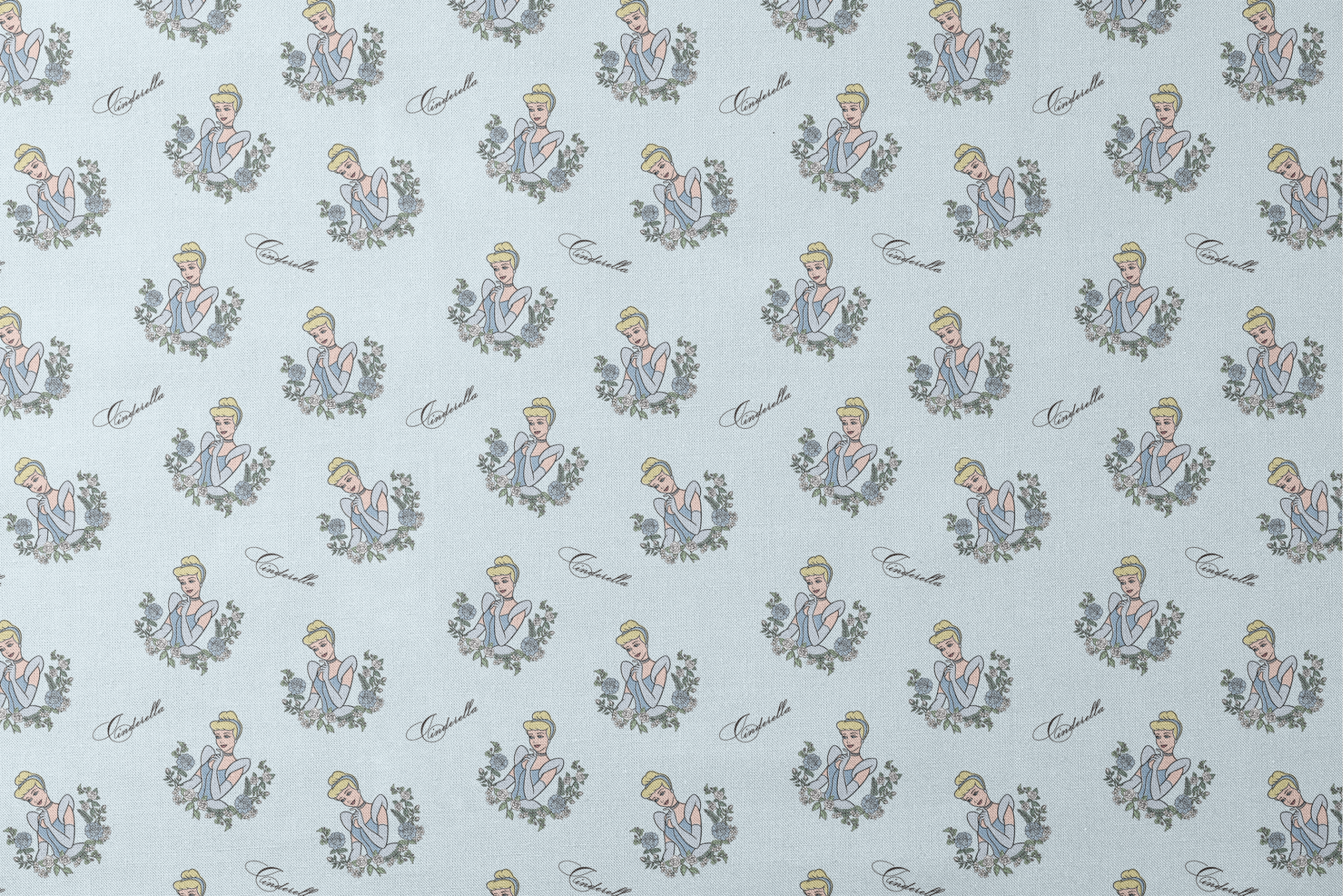 The image shows a pattern featuring a cartoon princess character in a blue dress surrounded by decorative green wreaths on a light blue background. The word "Cinderella" appears in cursive script throughout the design. designs flat mockup