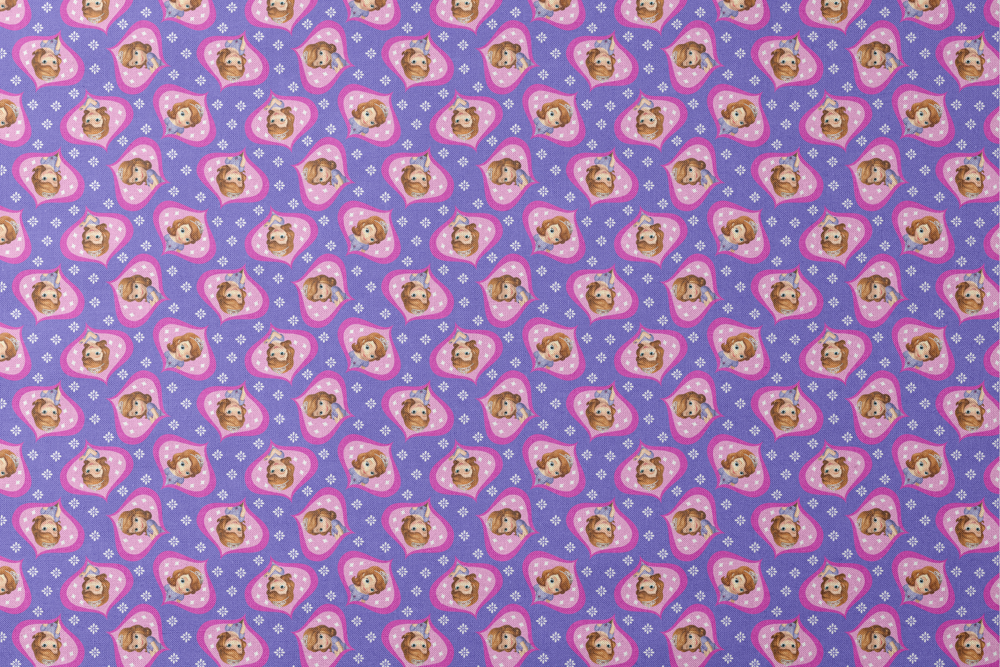 Sofia the First in pink frames pattern with white accents on purple background designs flat mockup