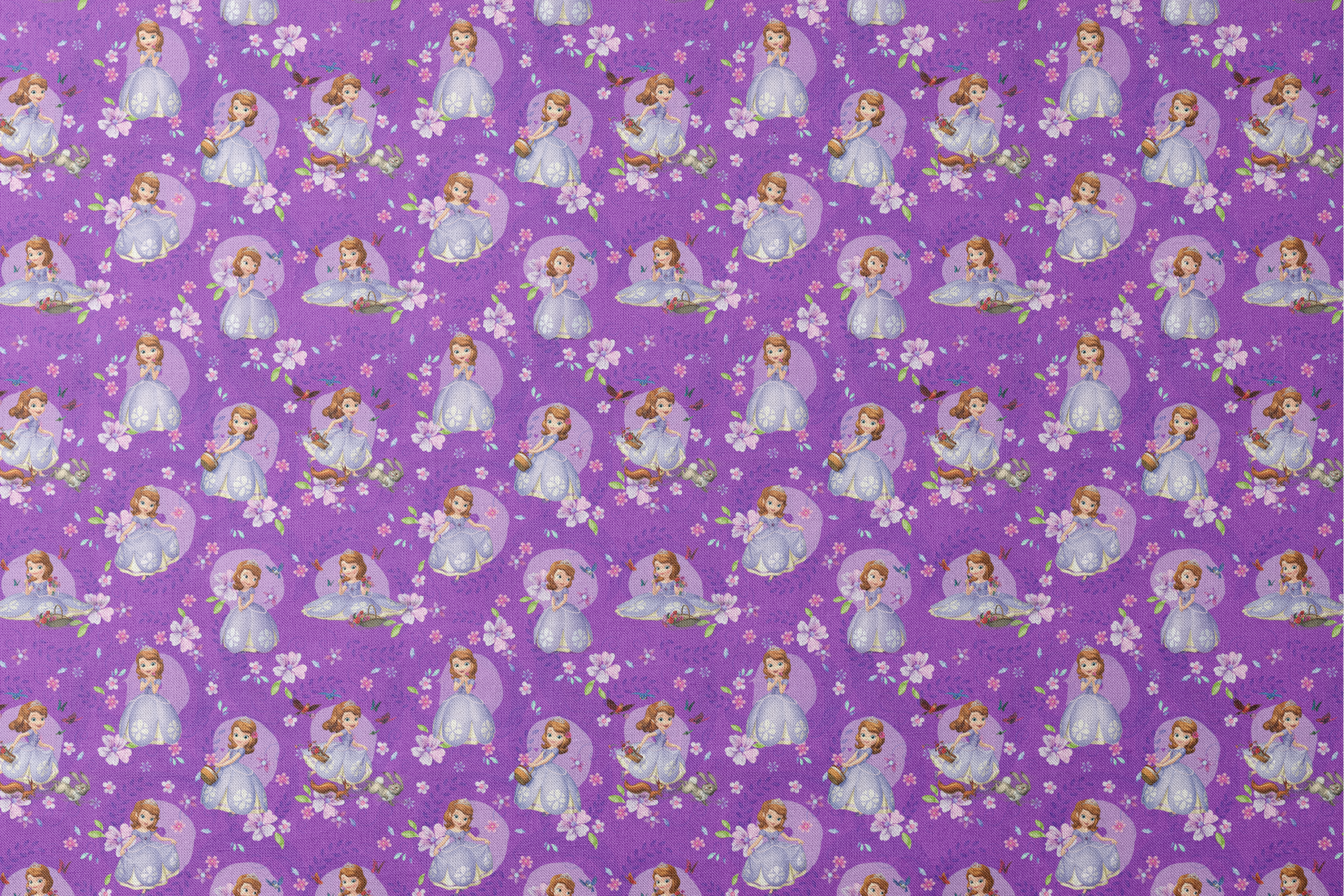 Purple background with repeating pattern of Sofia character in lavender dress surrounded by pink flowers and circular accents designs flat mockup