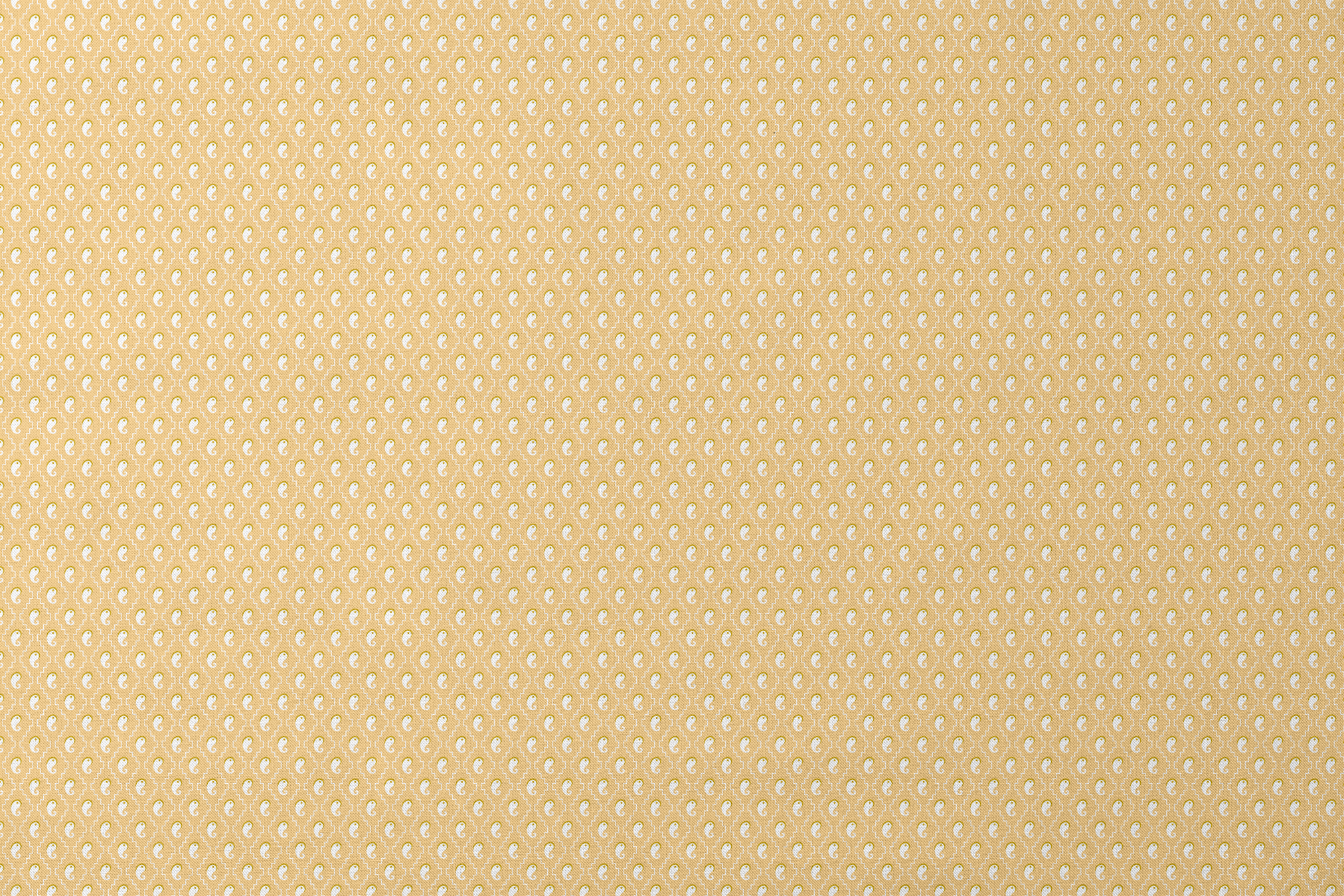  designs flat mockup