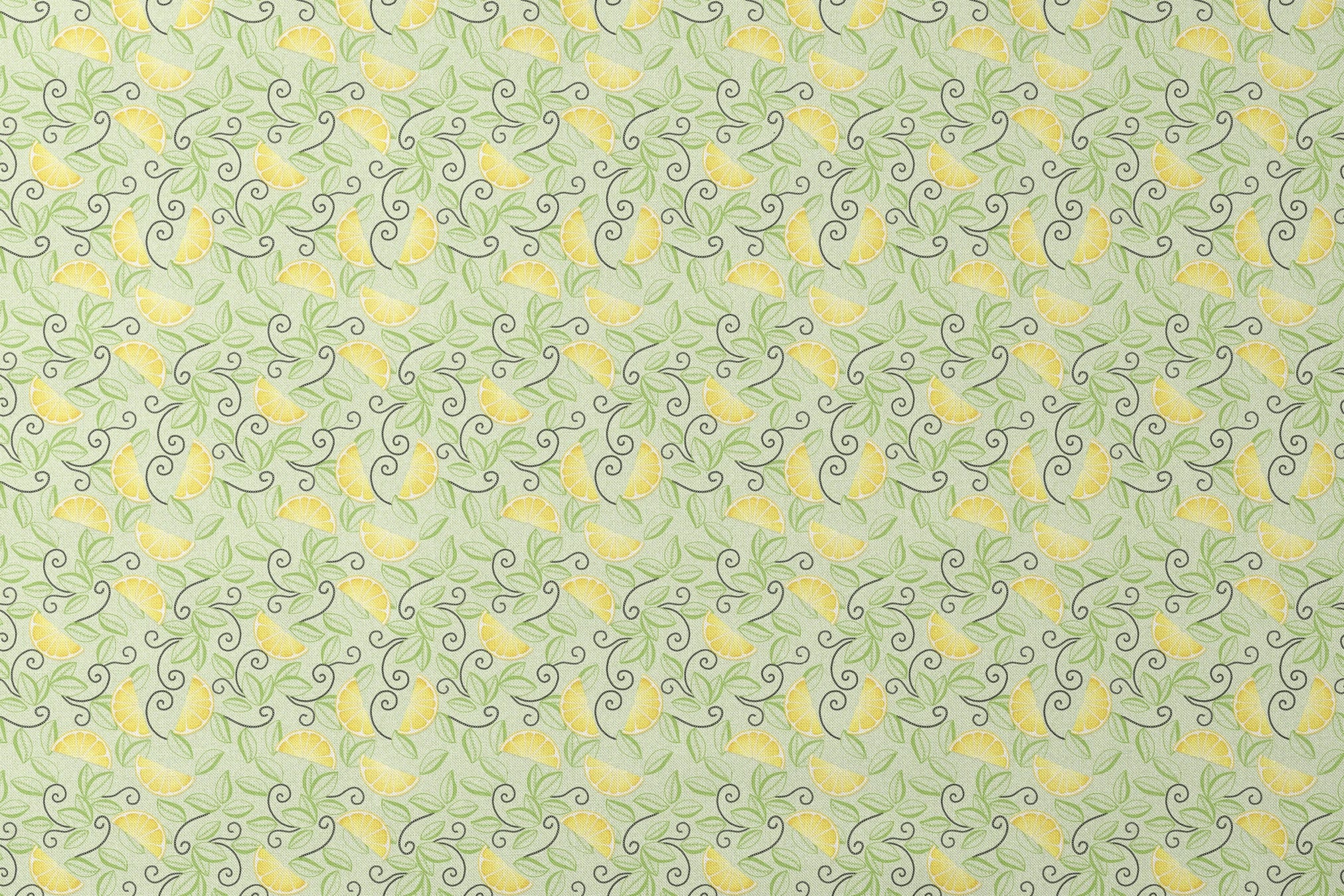 Yellow lemon slices with swirling green leaves on a soft green background in a playful, fresh layout. designs flat mockup