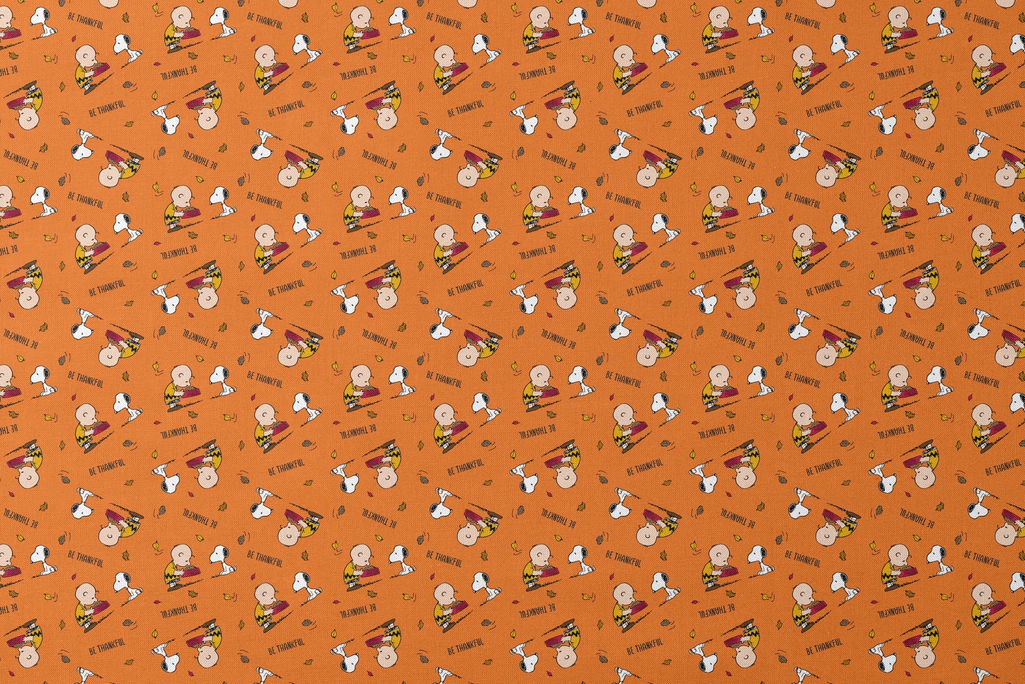 Peanuts characters on orange background with autumn leaves and "Be Thankful" text pattern designs flat mockup