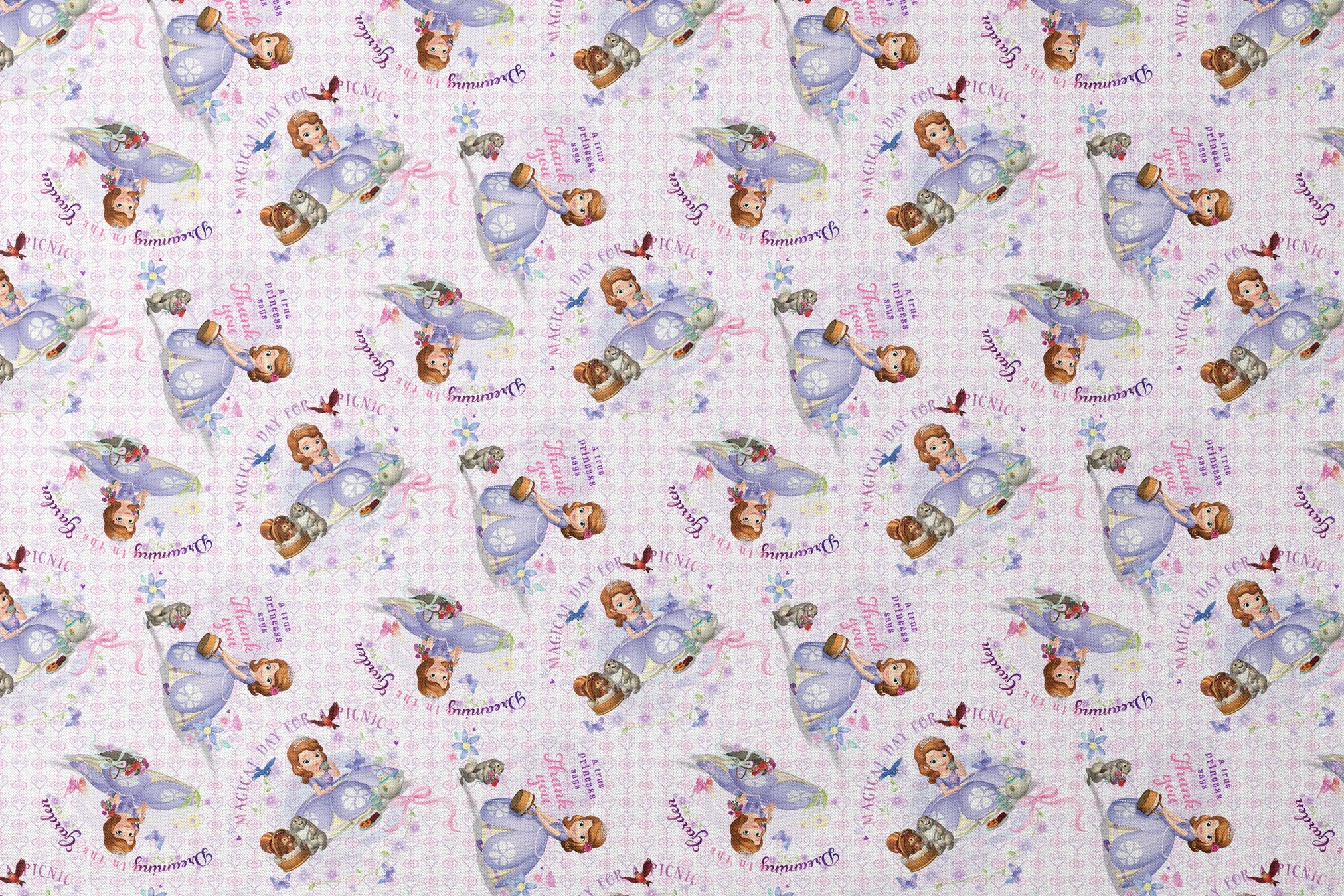 Disney Sofia the First Princess-themed pattern with characters in purple dresses, crowns, and the text "Beautiful Princess" on light purple background designs flat mockup