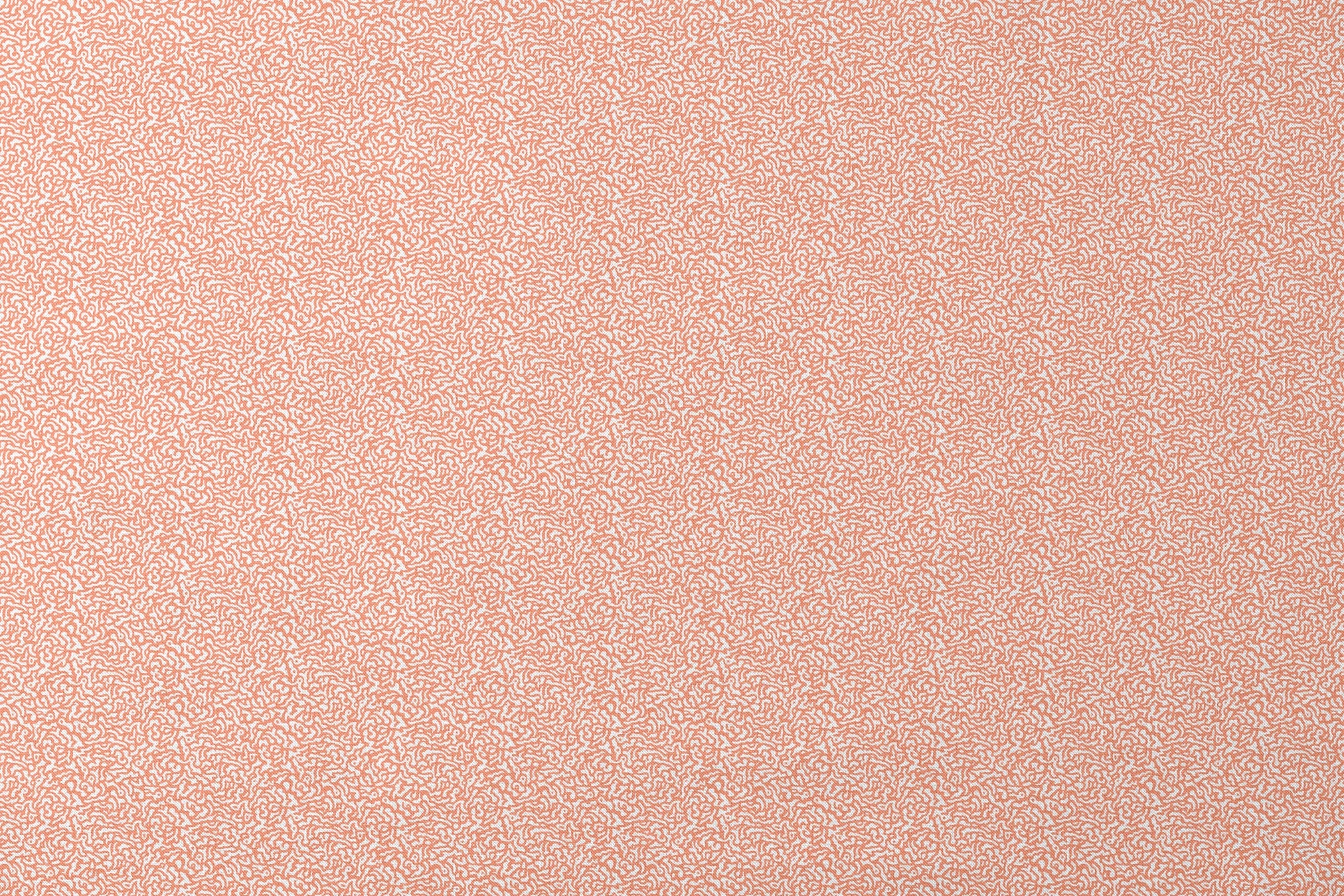 Coral squiggly pattern with organic, maze-like curves on white background designs flat mockup