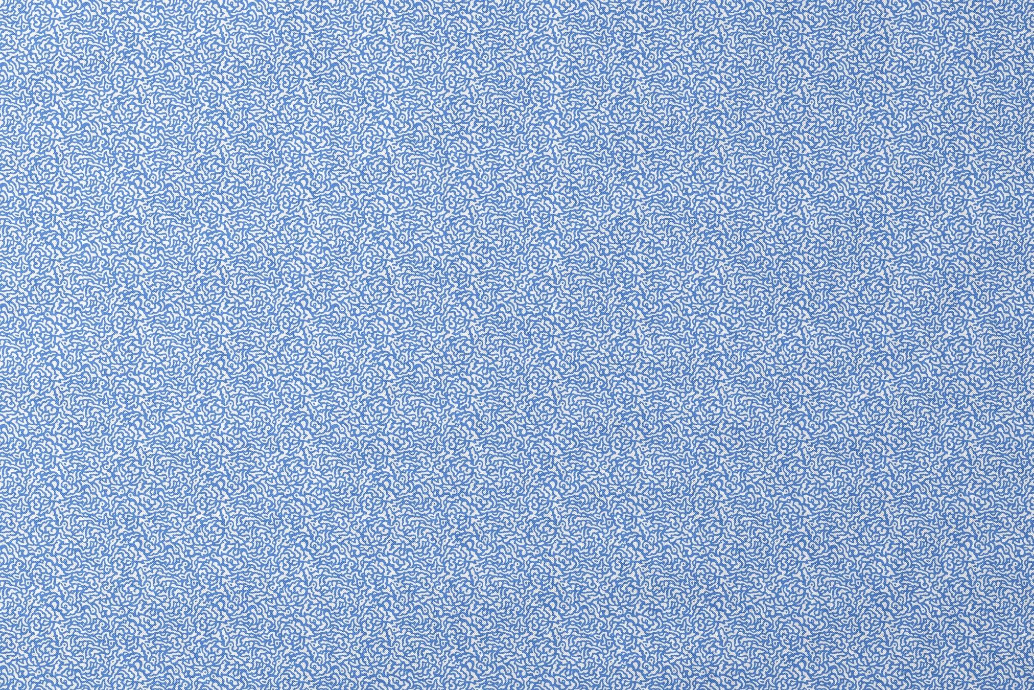 Blue and white abstract pattern with wavy, maze-like lines creating a flowing organic texture designs flat mockup