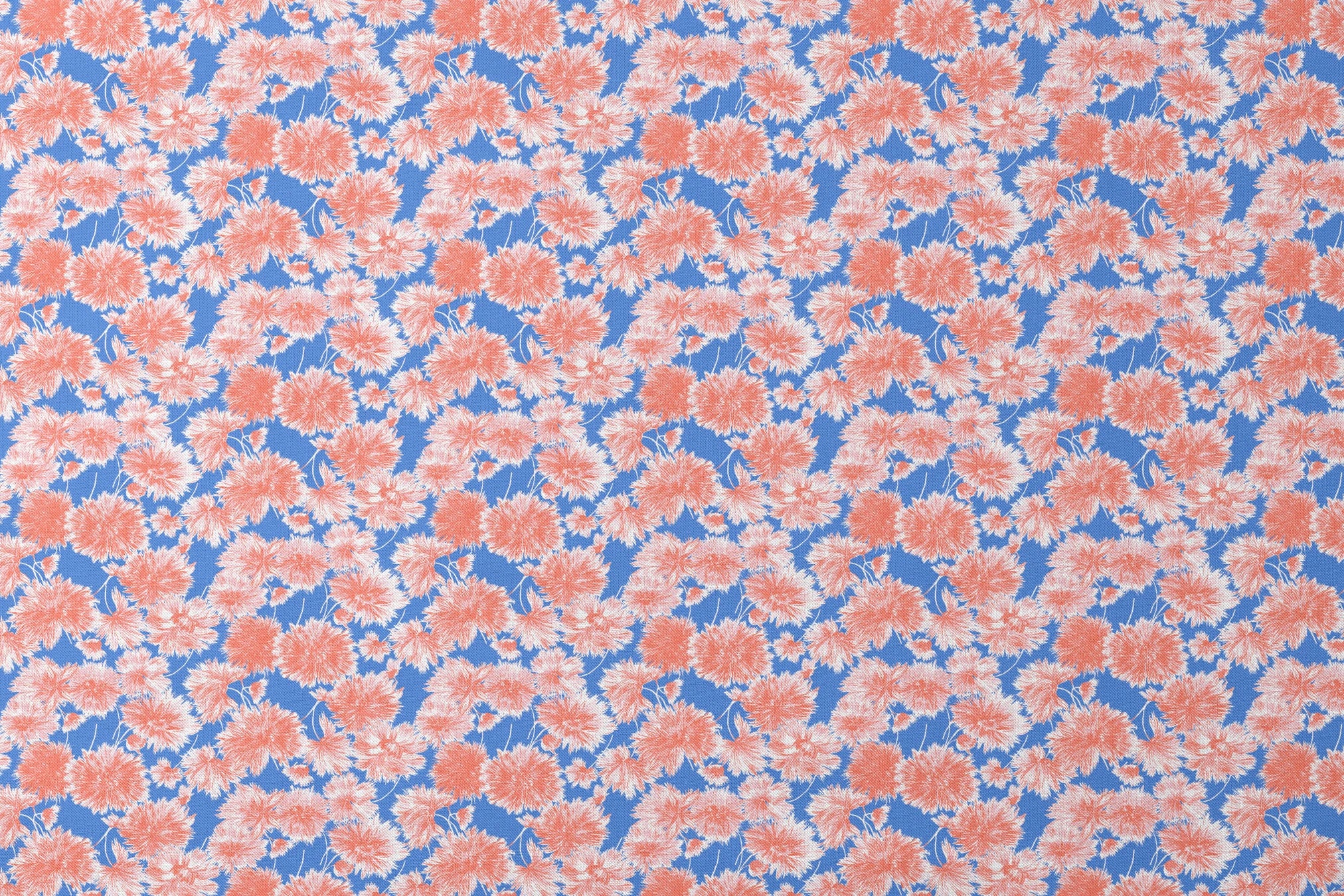 Coral pink floral pattern of chrysanthemums or dahlias on bright blue background designs flat mockup