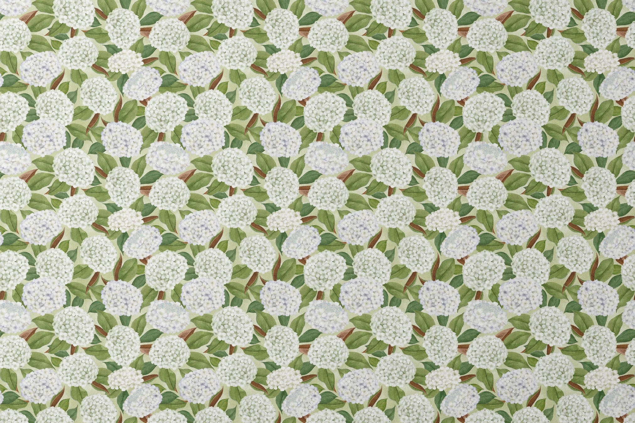 Realistic white hydrangea clusters with green leaves on a soft cream background, designed by Nicole Tamarin in a timeless botanical style. designs flat mockup