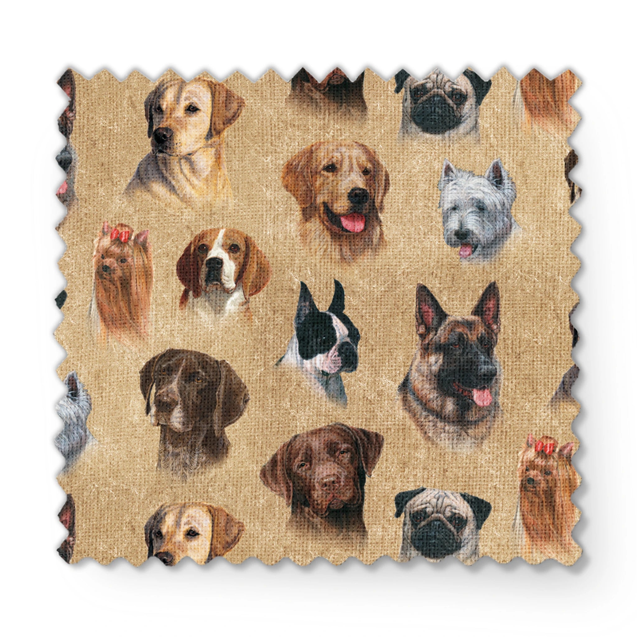  fabric swatch mockup