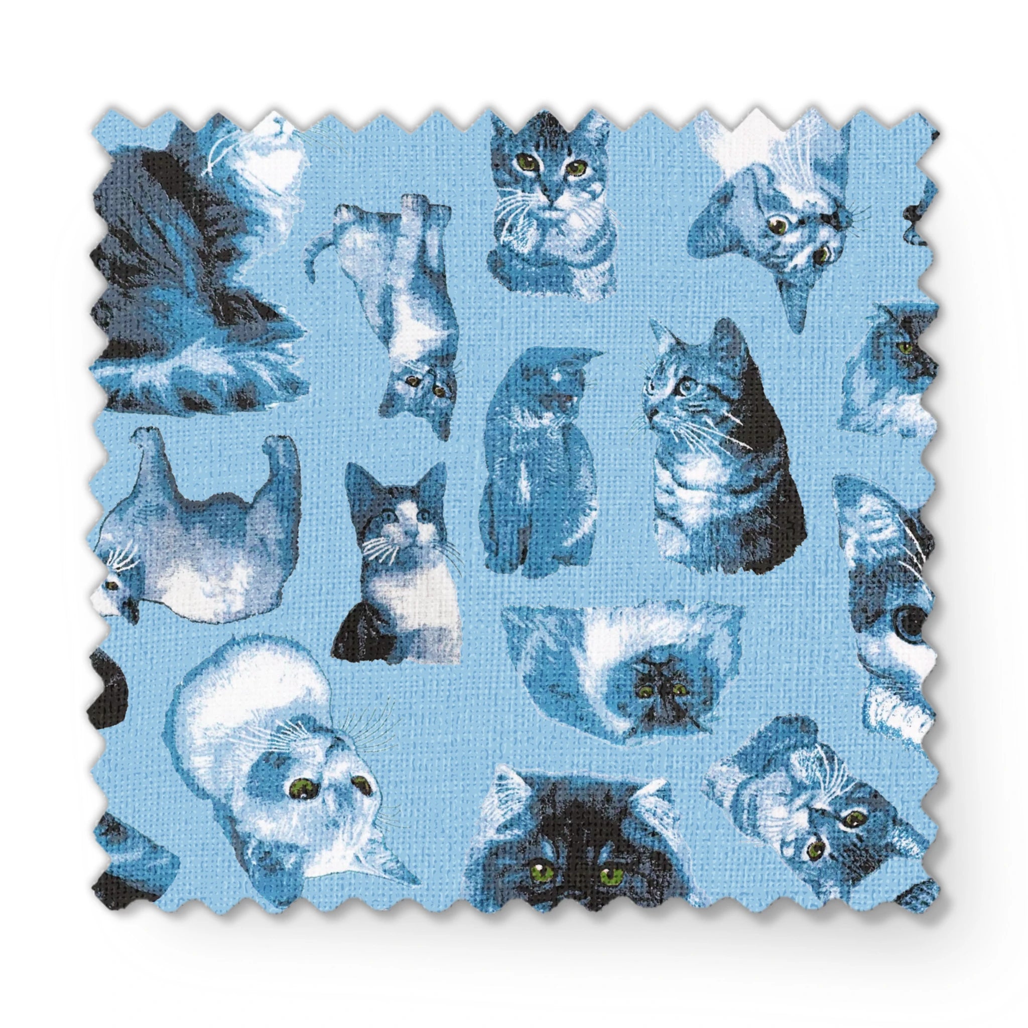  fabric swatch mockup