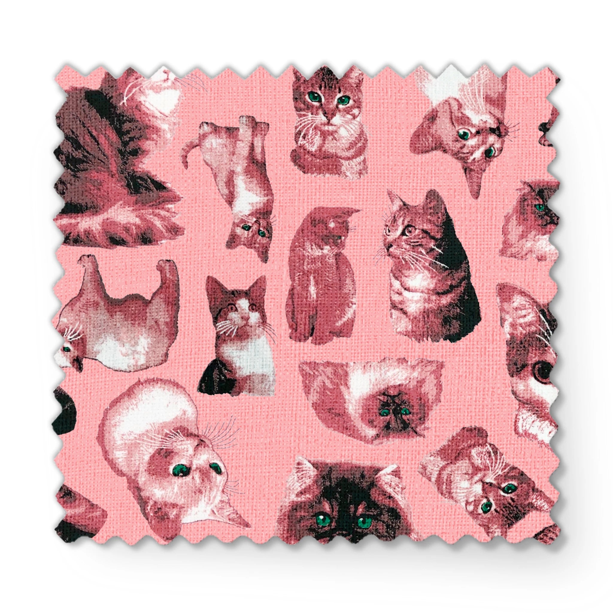  fabric swatch mockup