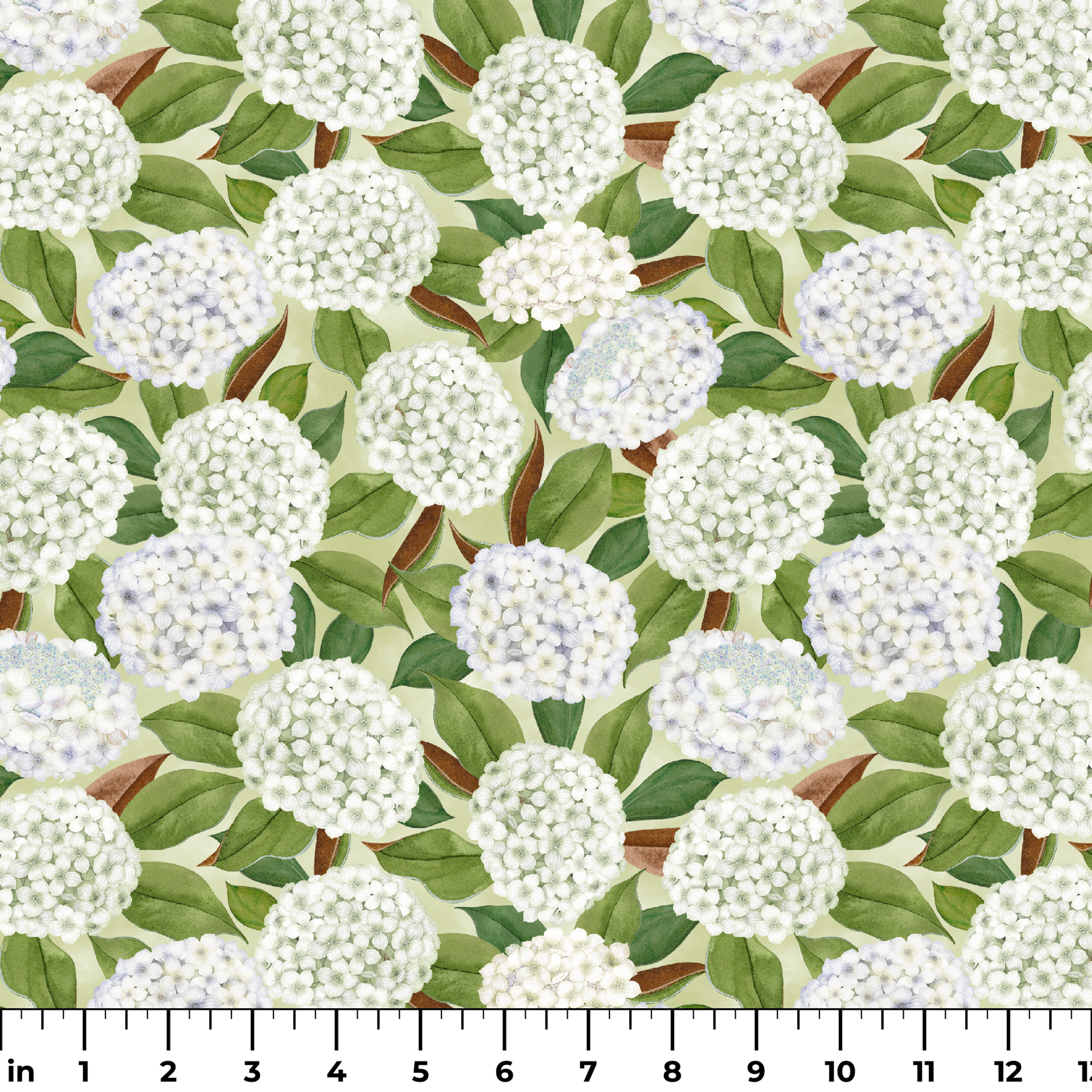 Realistic white hydrangea clusters with green leaves on a soft cream background, designed by Nicole Tamarin in a timeless botanical style. ruler