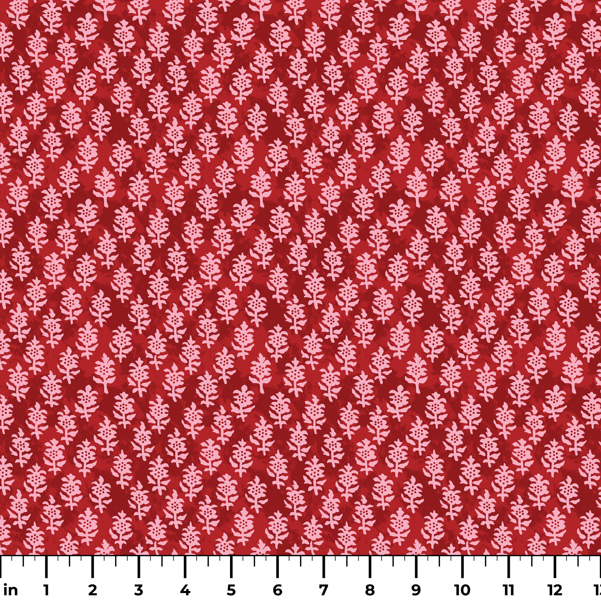  ruler