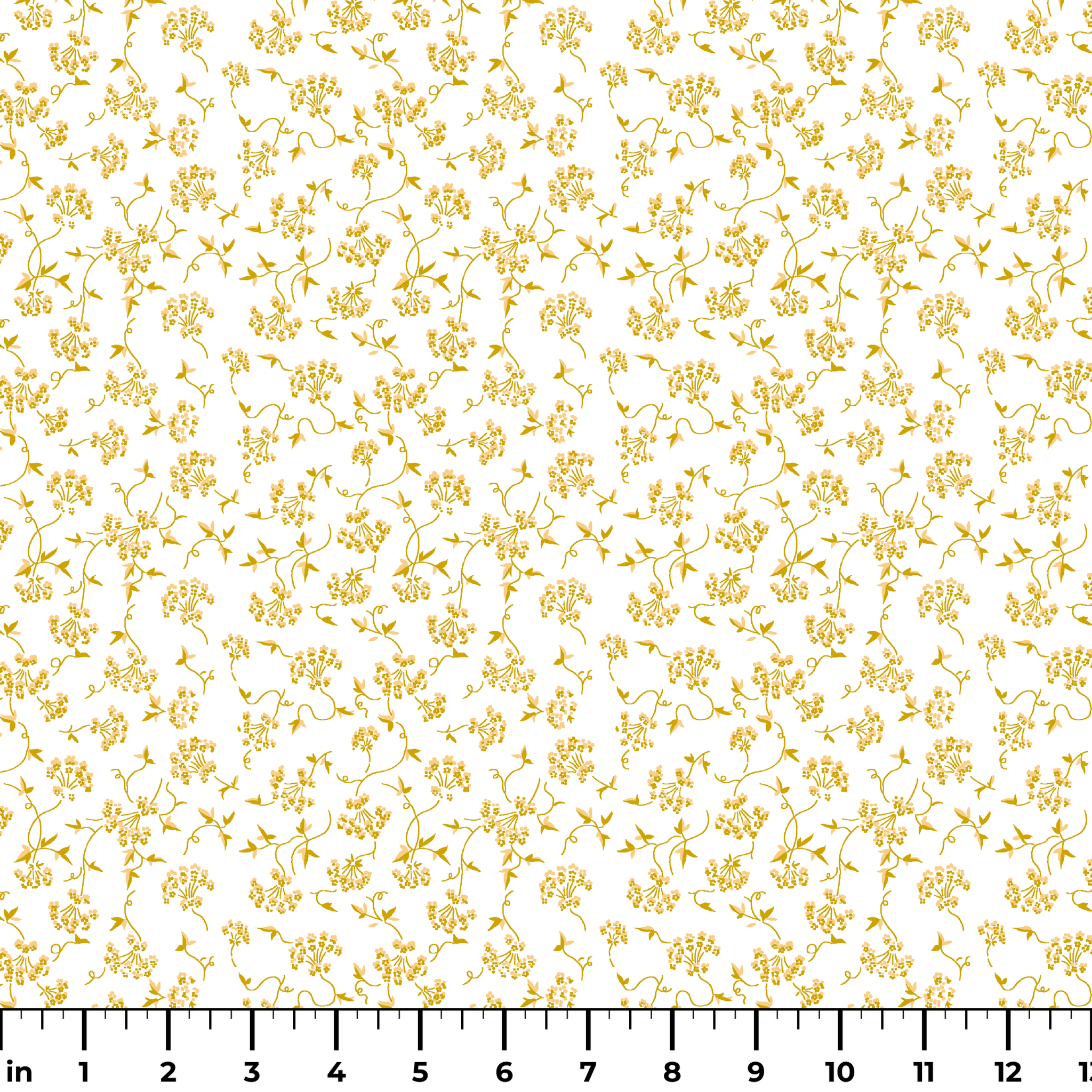 ruler