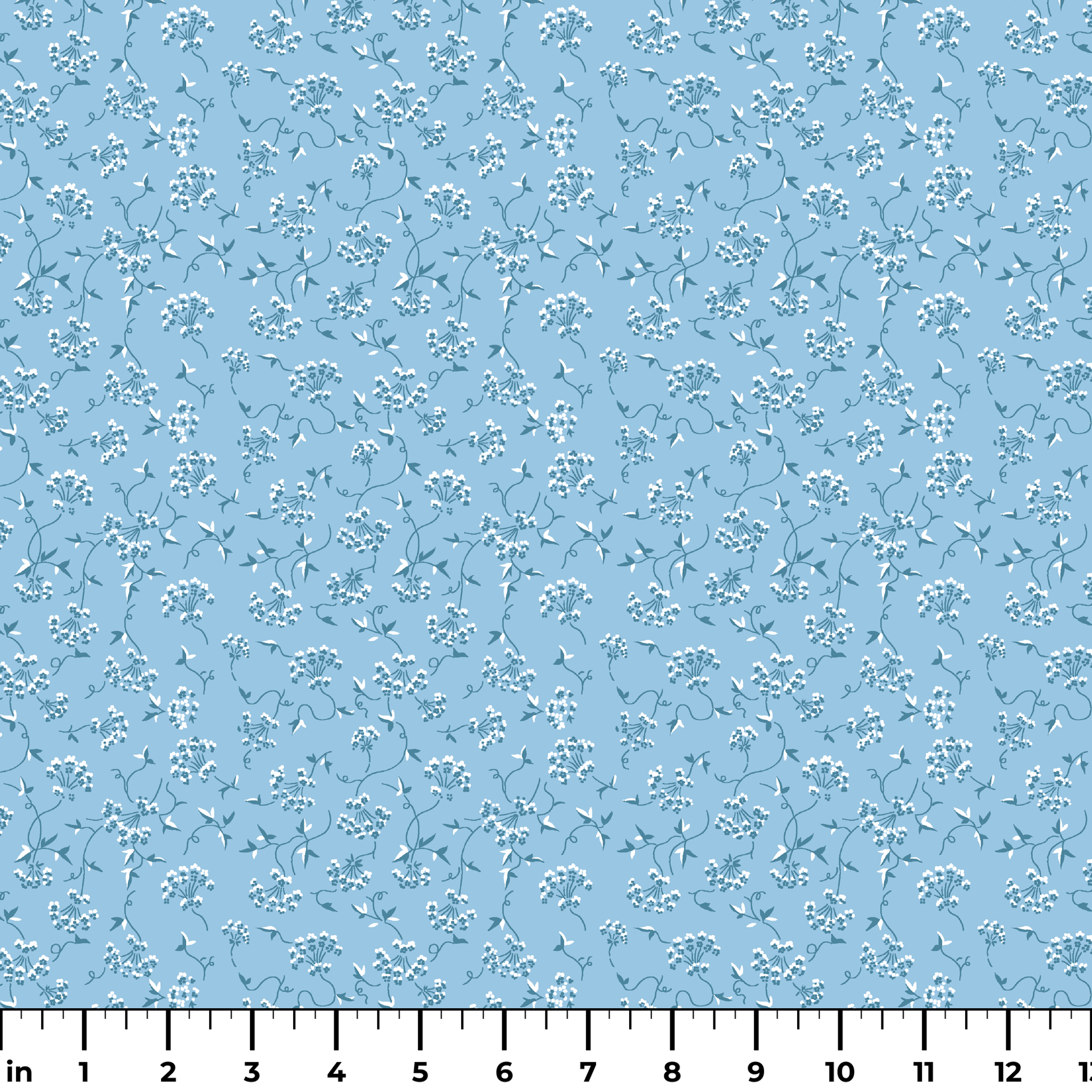  ruler
