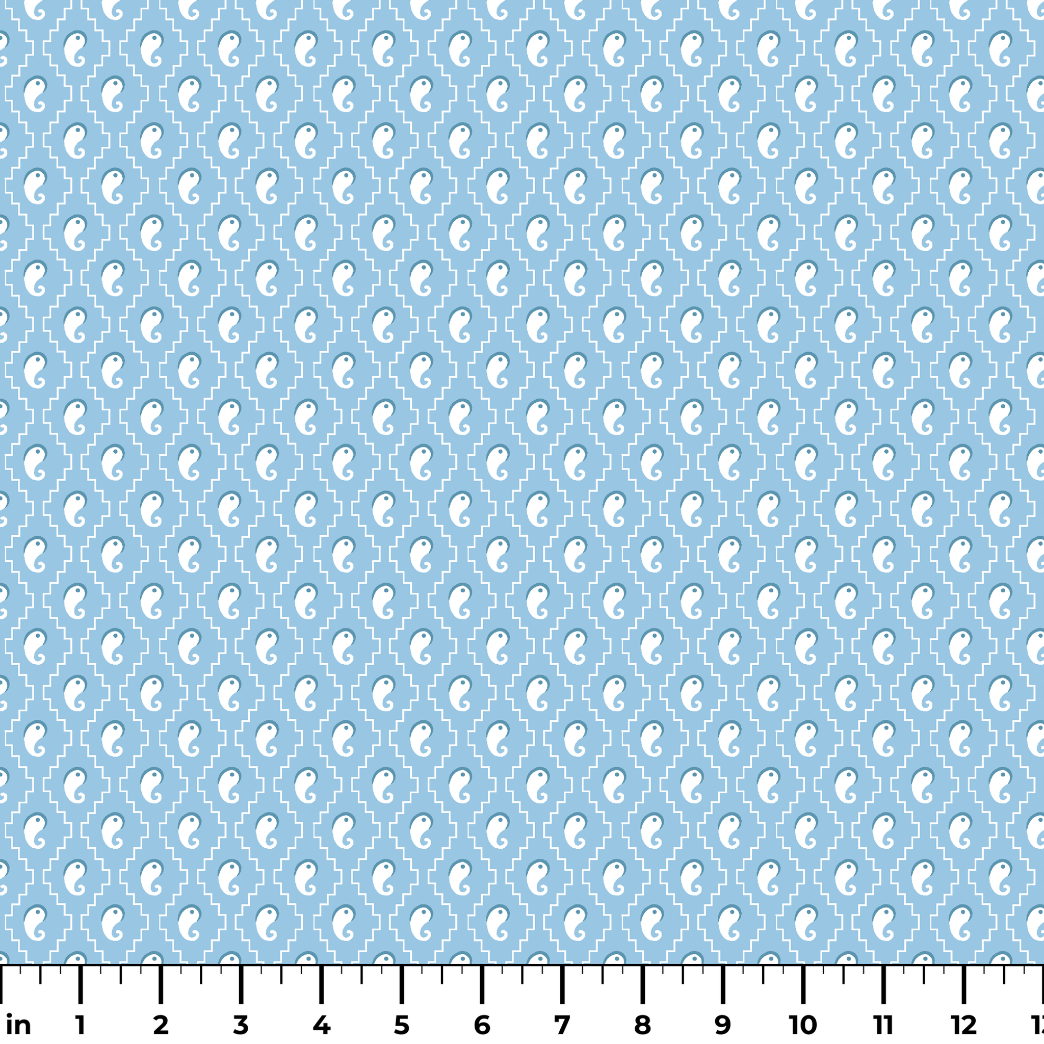  ruler