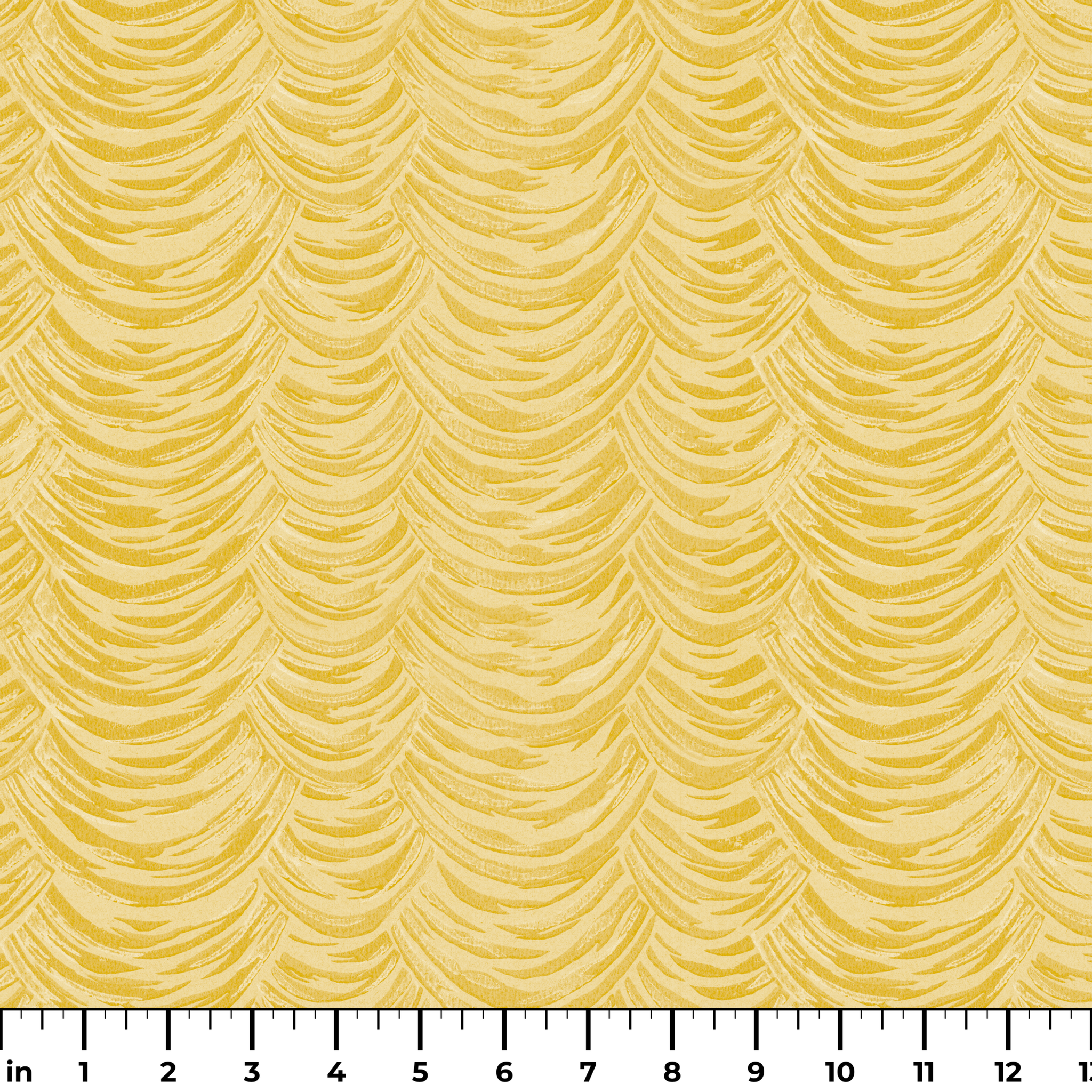  ruler