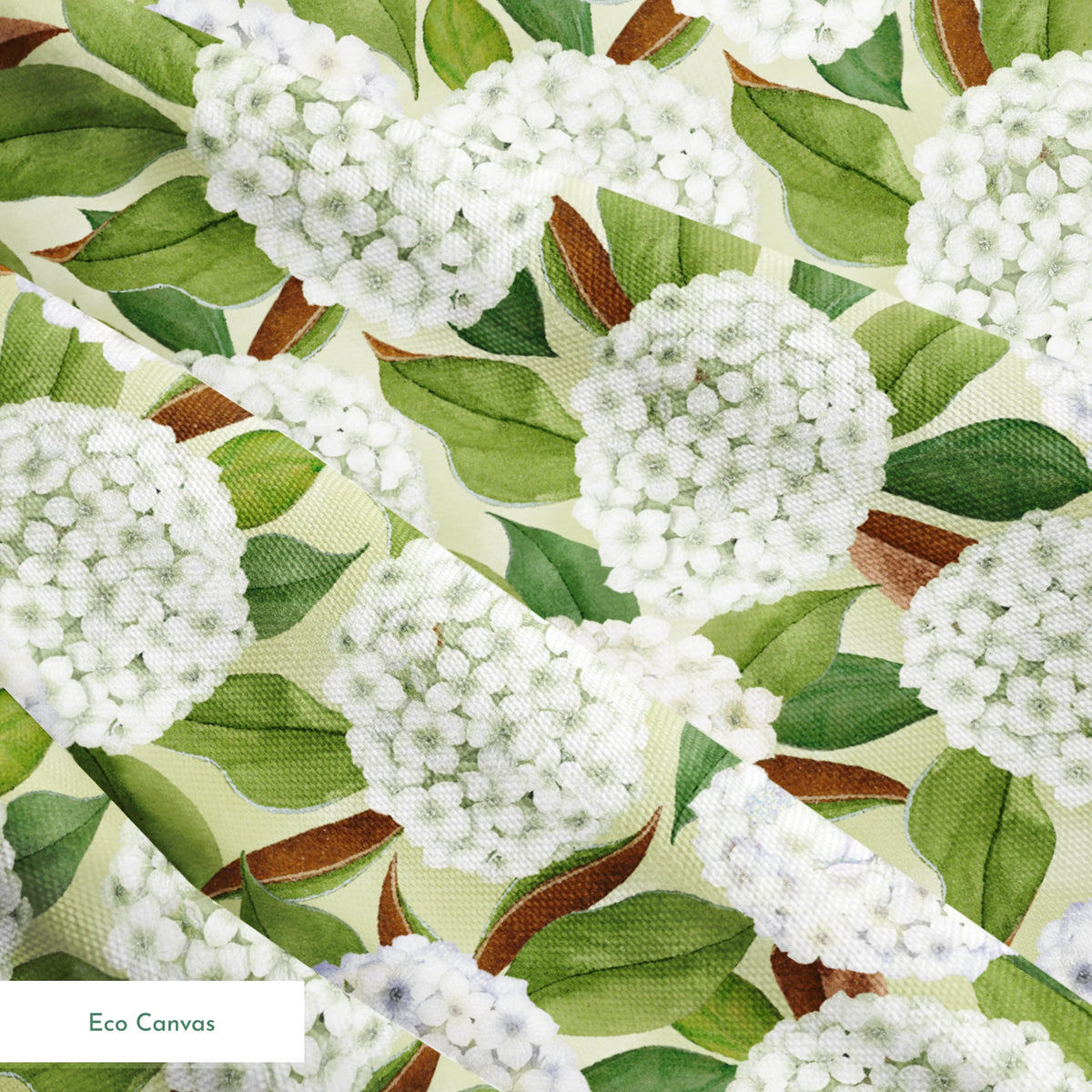 Realistic white hydrangea clusters with green leaves on a soft cream background, designed by Nicole Tamarin in a timeless botanical style. springs ecocanvas texture