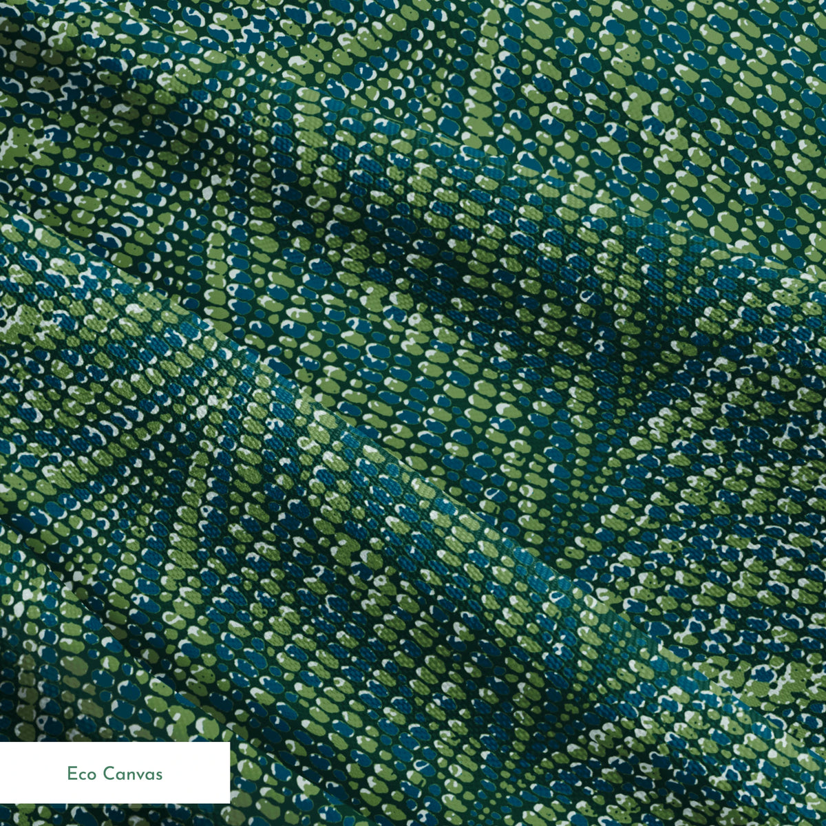 Wren on Swamp Witch Fabric