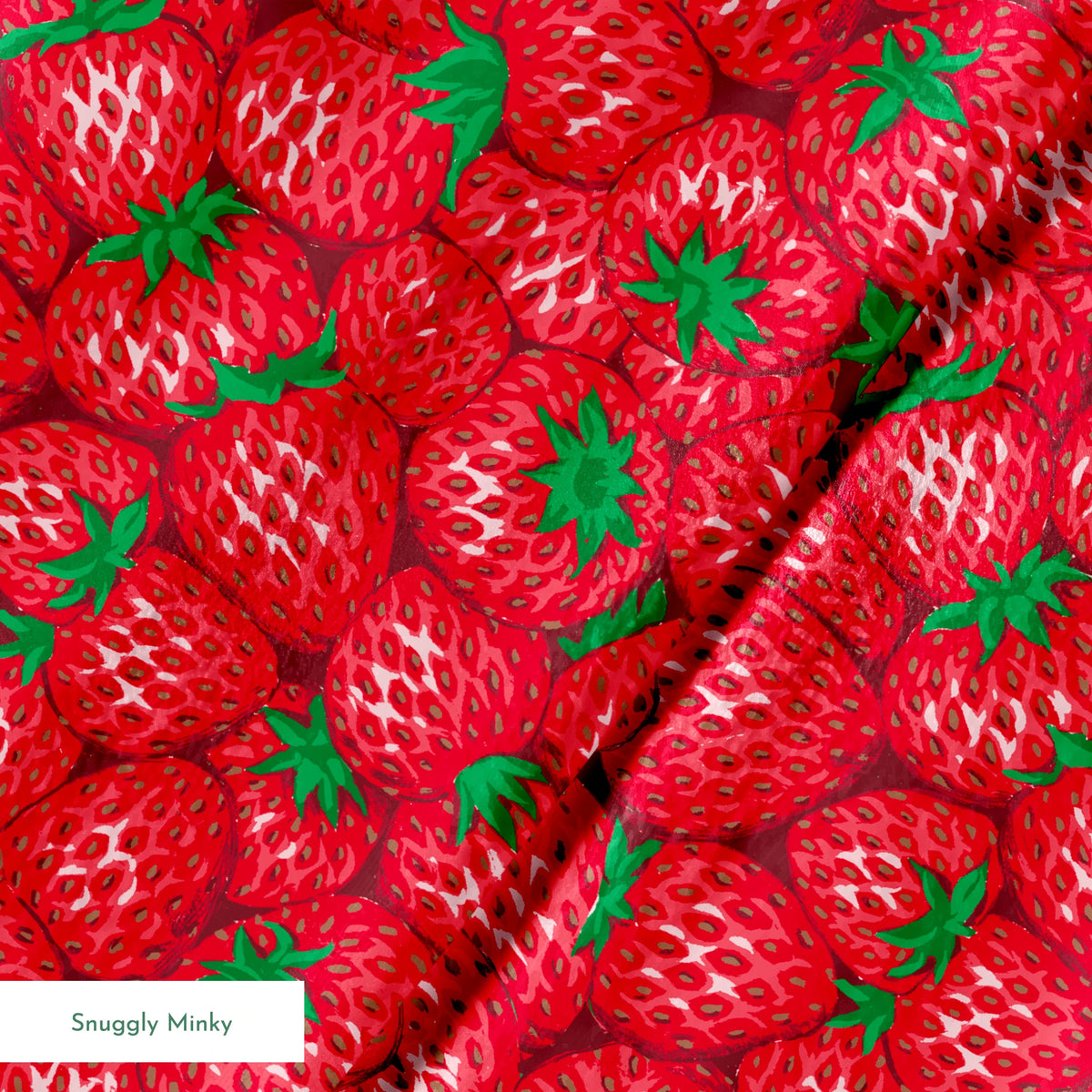 springs minky texture