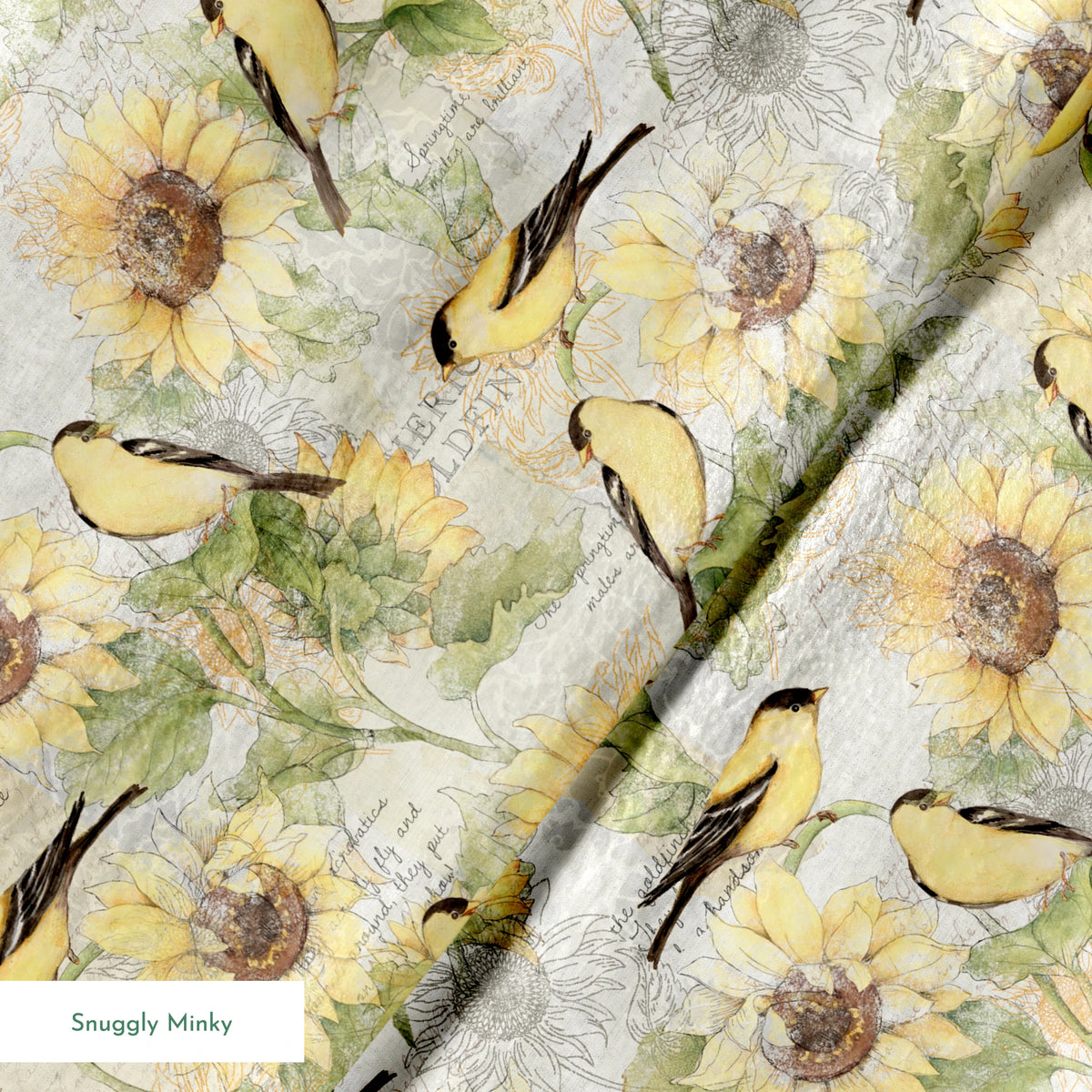  springs minky texture