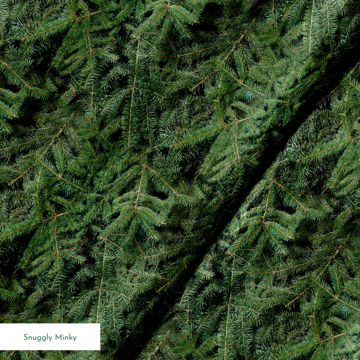  springs minky texture