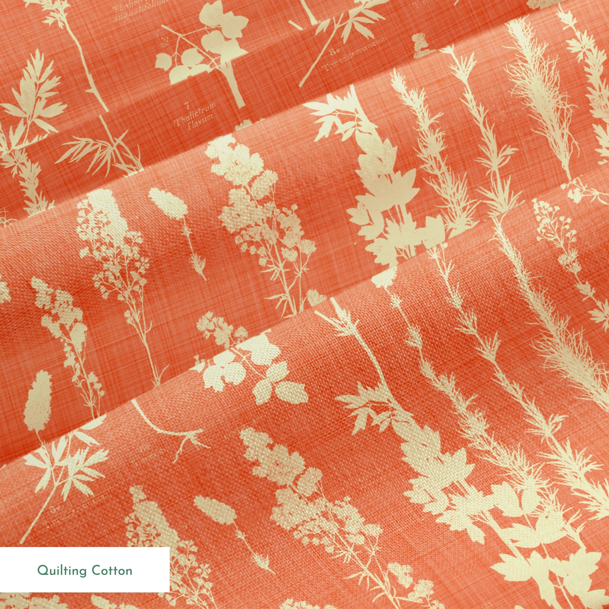  springs quiltingcotton texture