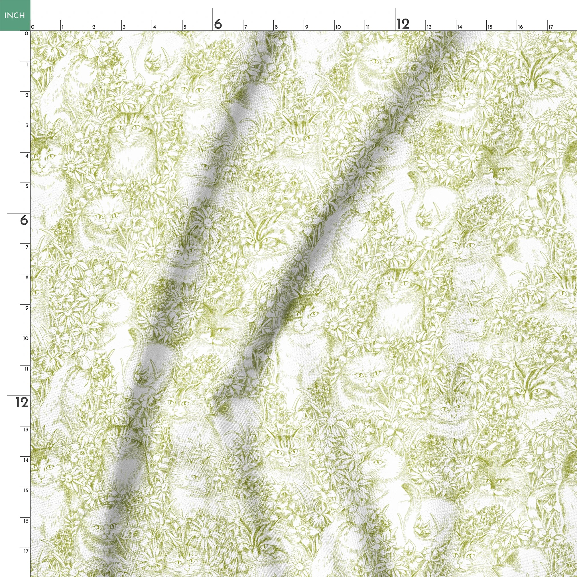 springs ruler 18x18