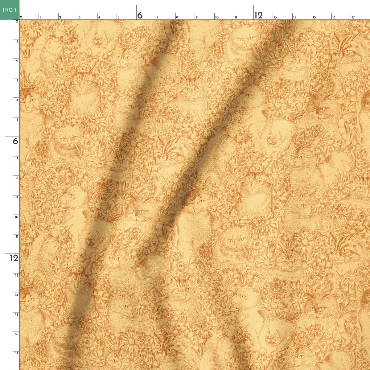 springs ruler 18x18