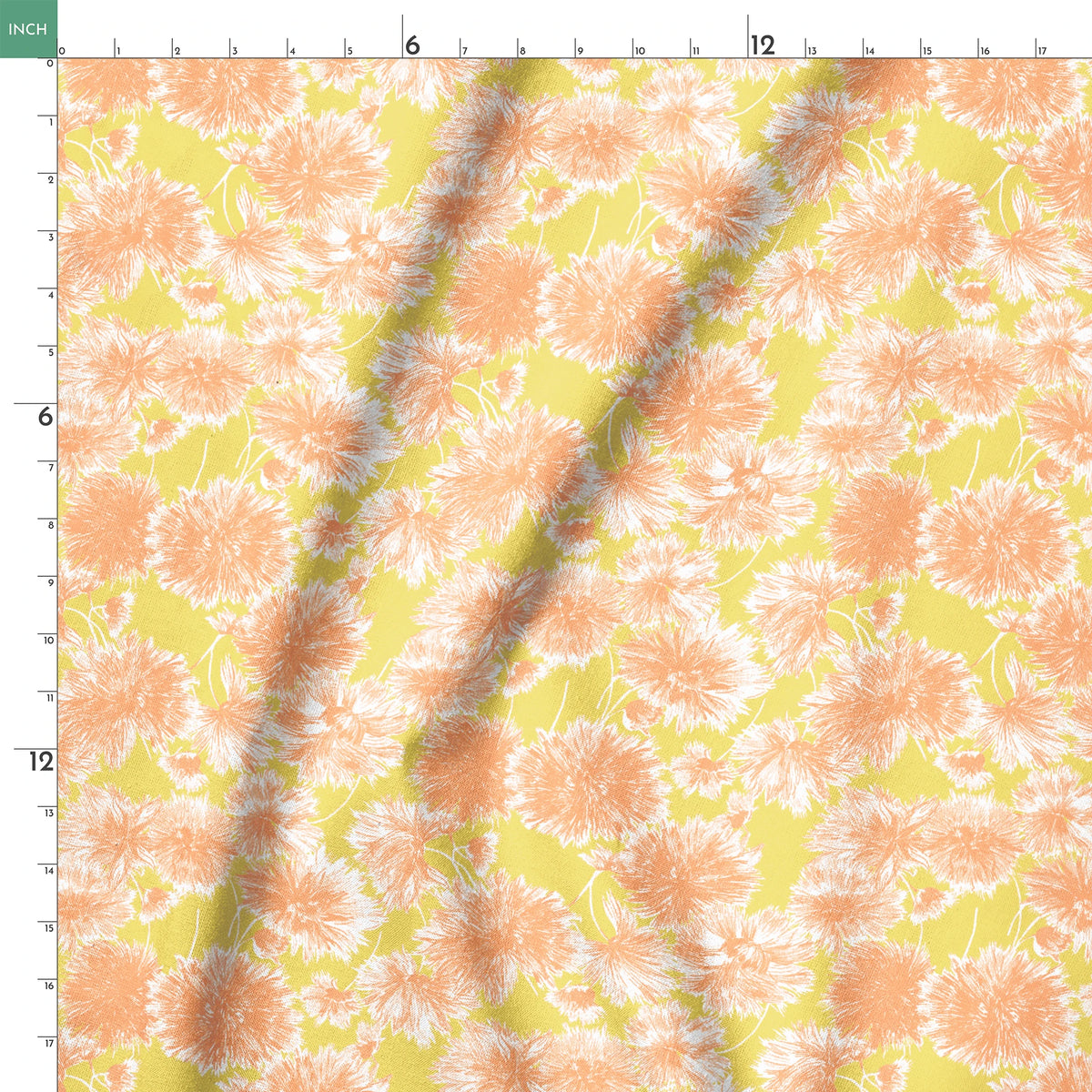  springs ruler 18x18