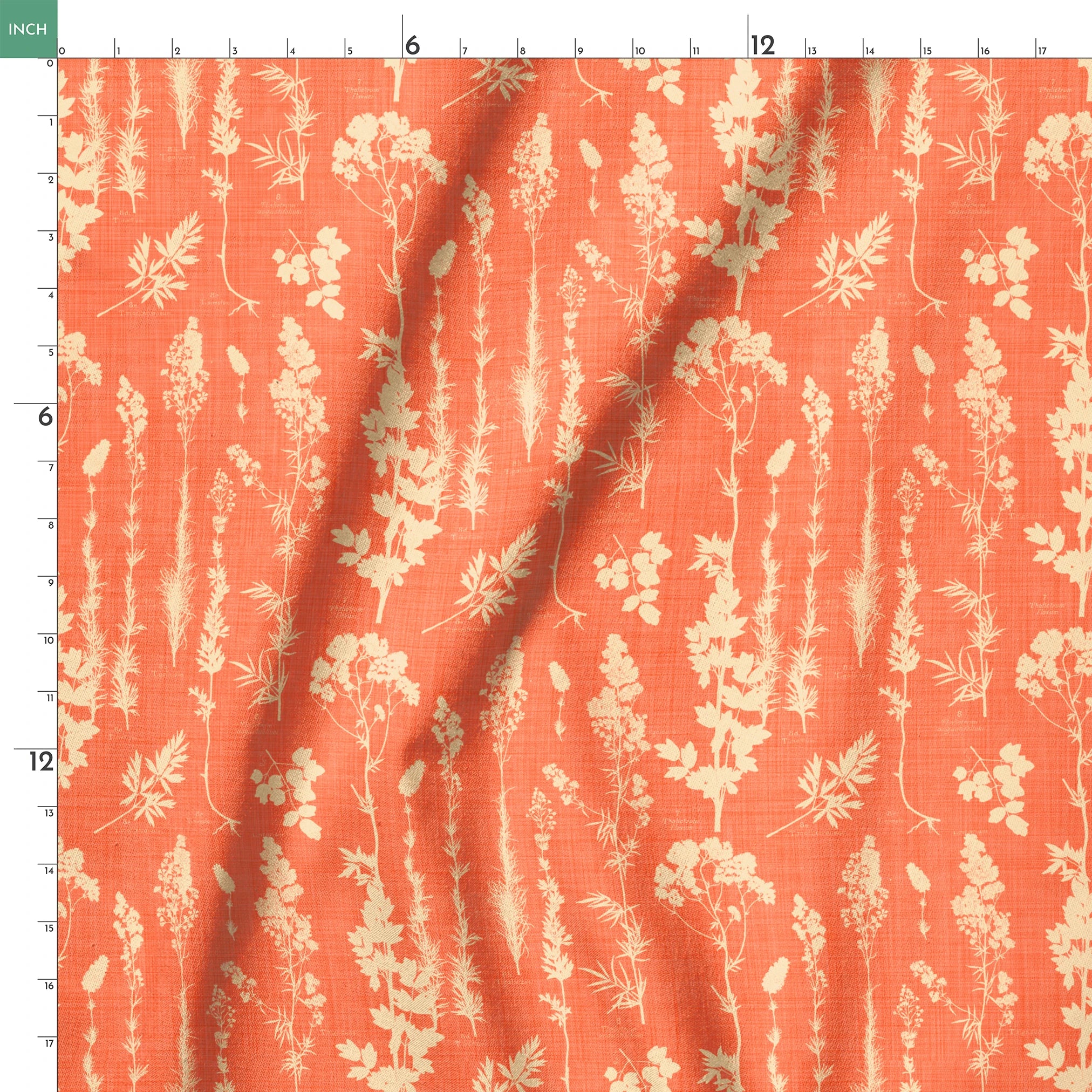  springs ruler 18x18
