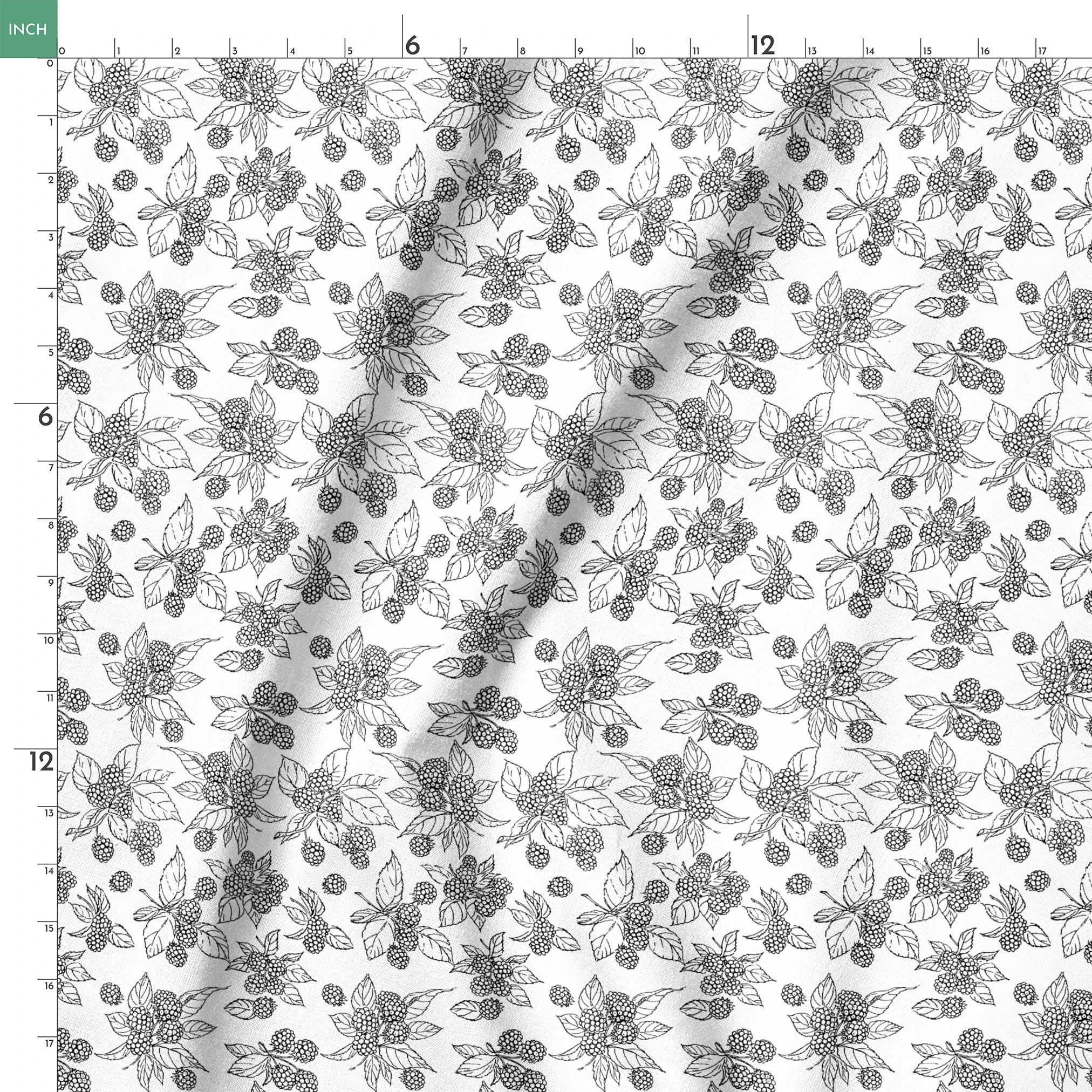  springs ruler 18x18