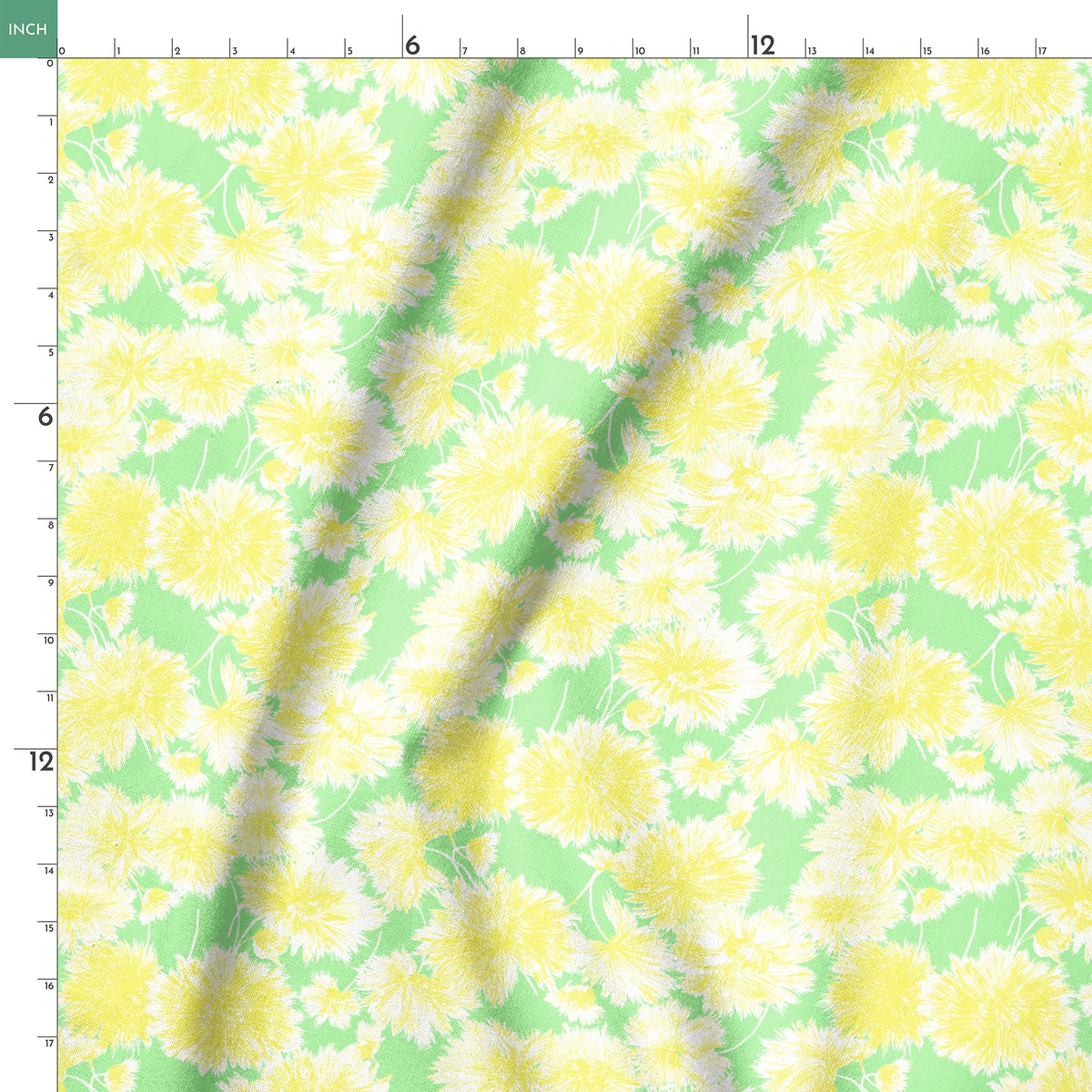 springs ruler 18x18