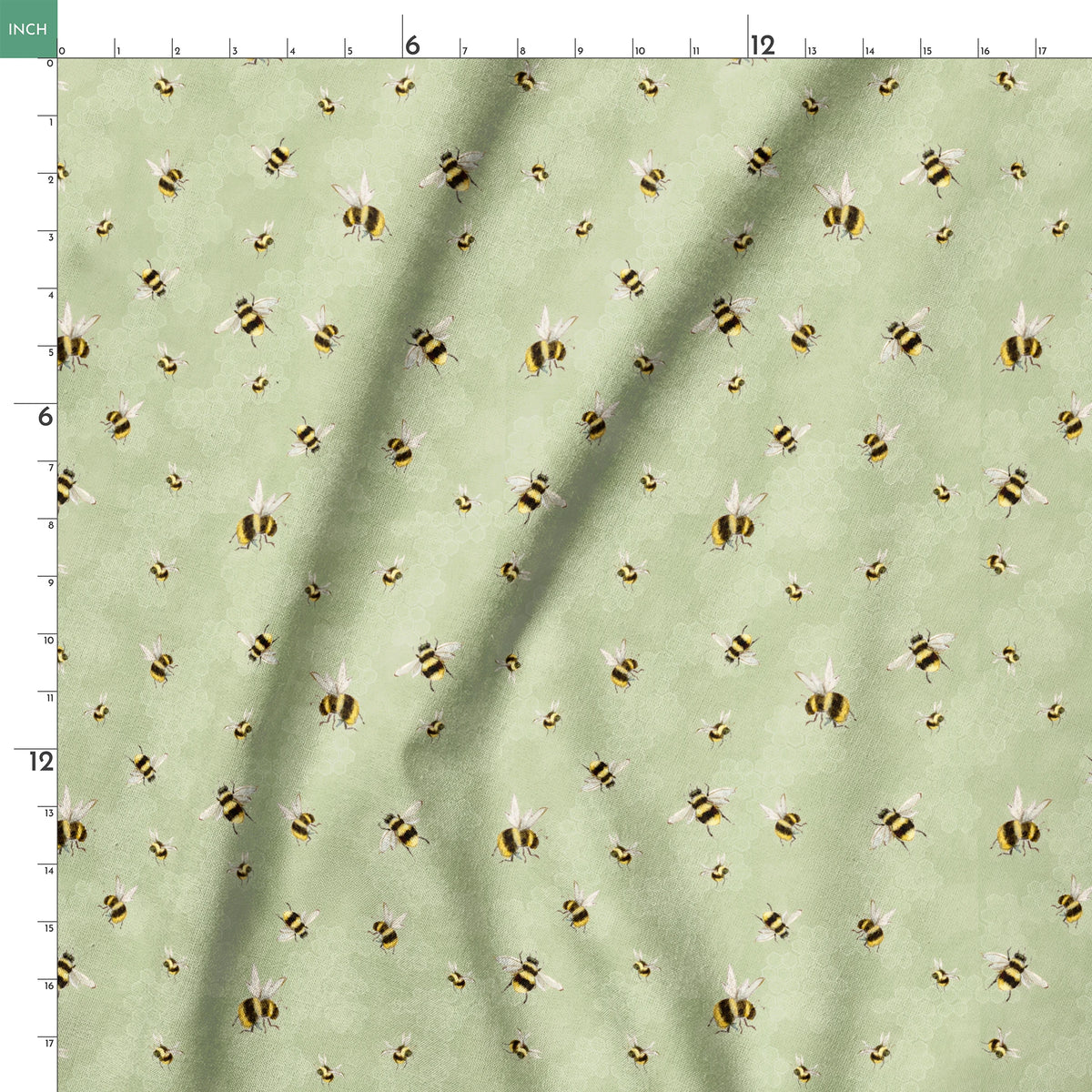  springs ruler 18x18