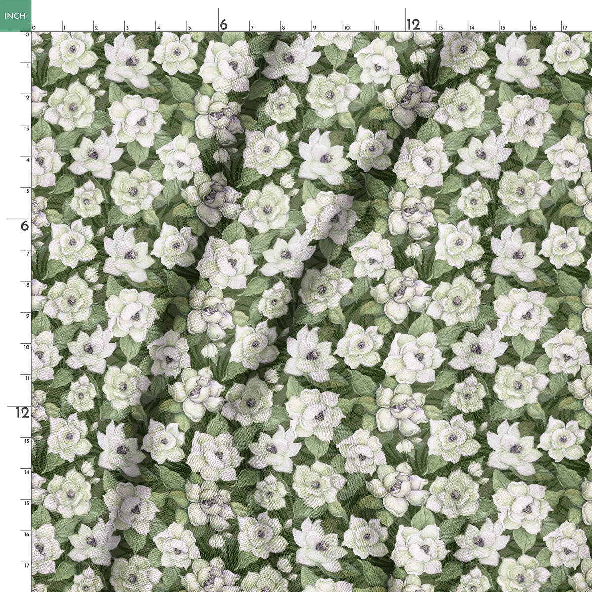  springs ruler 18x18