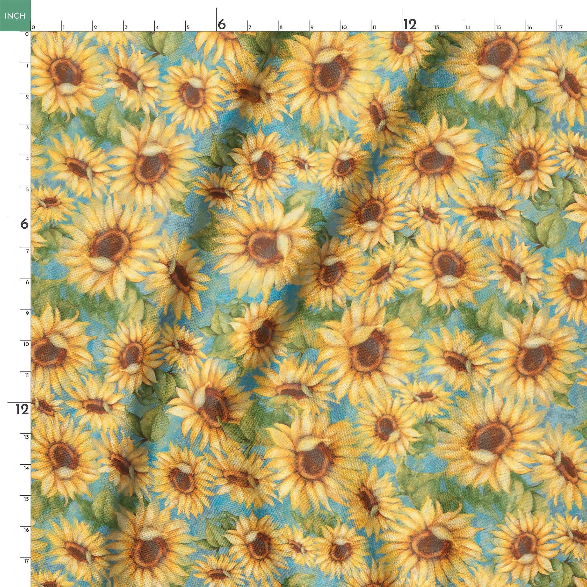  springs ruler 18x18