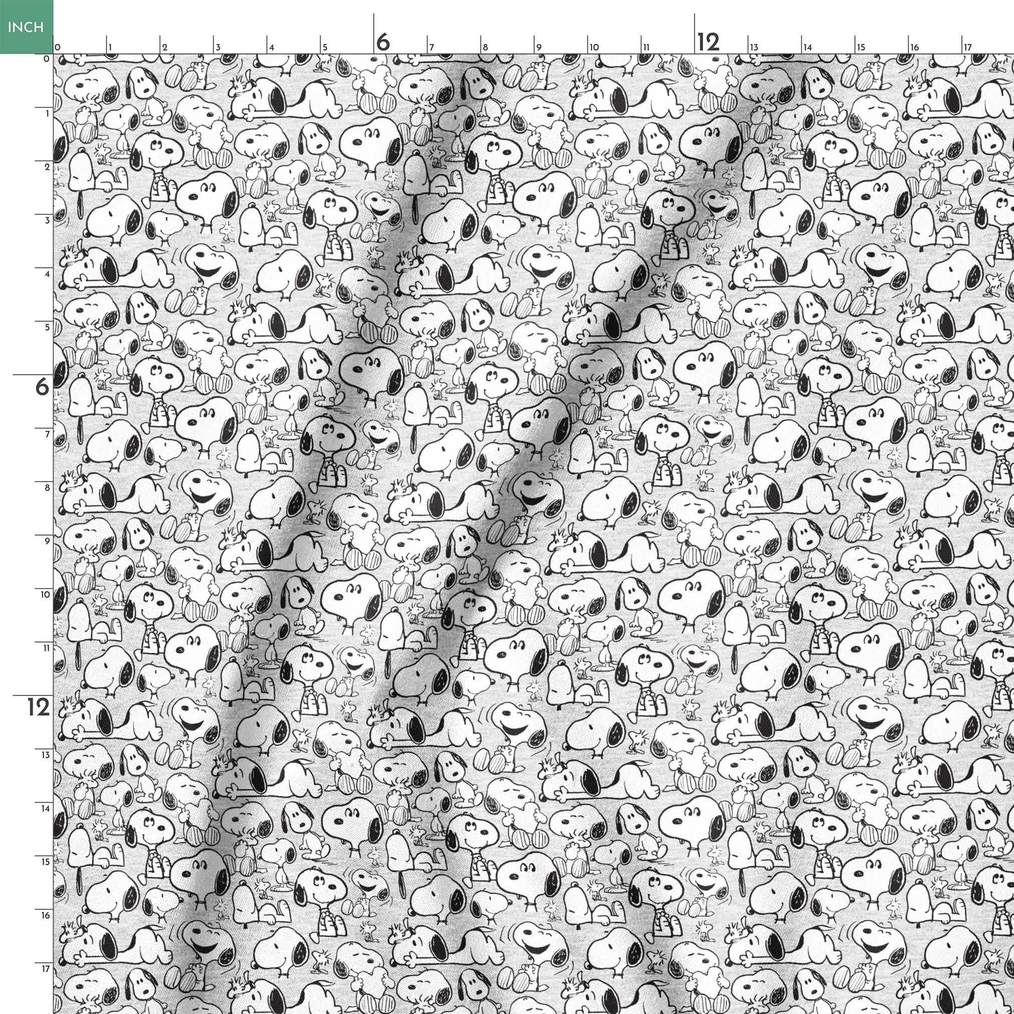  springs ruler 18x18