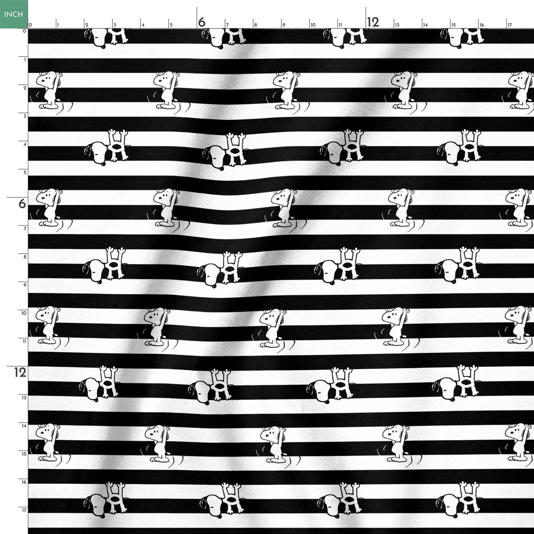  springs ruler 18x18