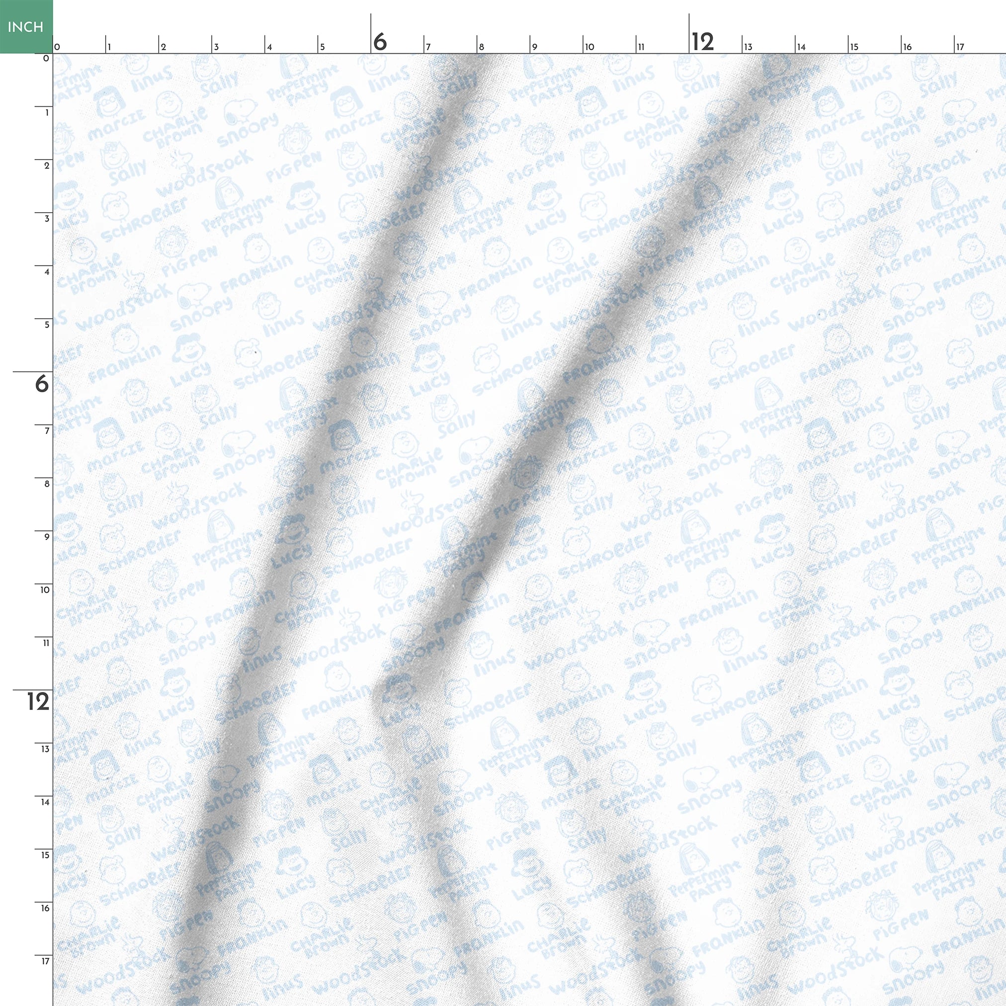  springs ruler 18x18