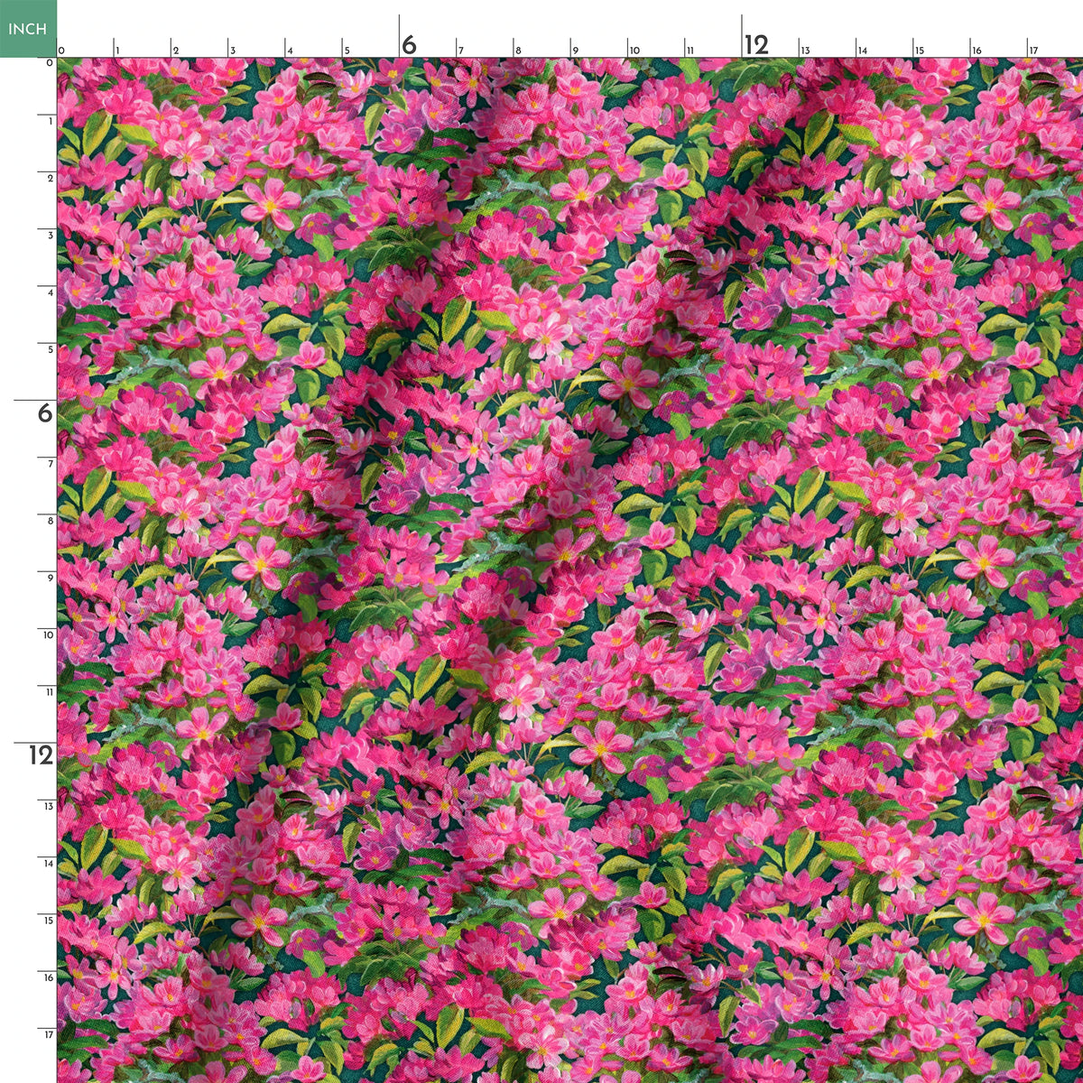  springs ruler 18x18