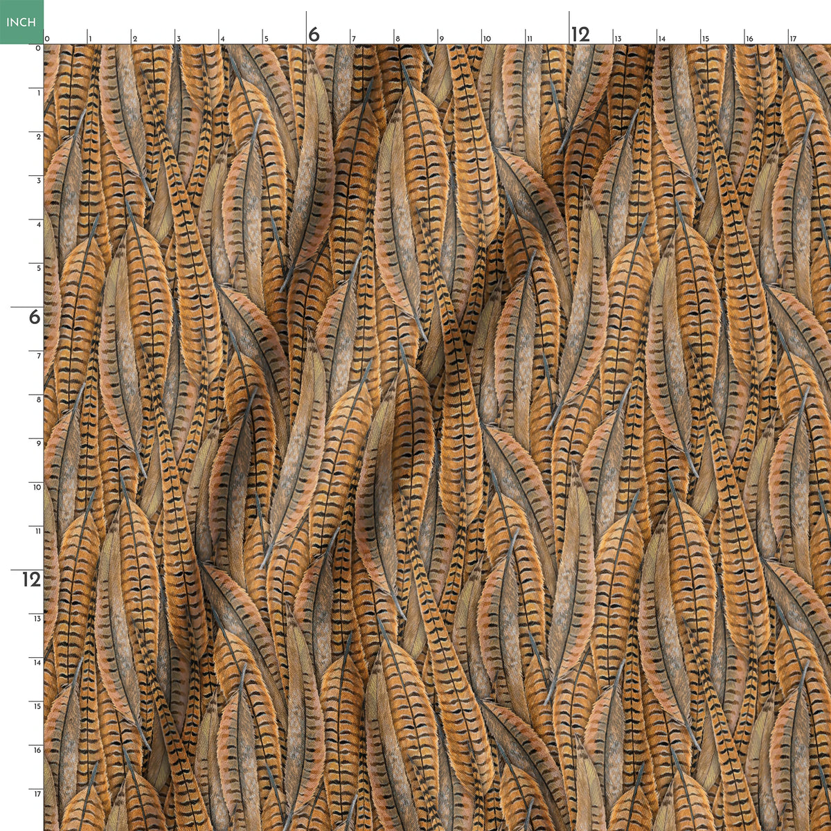 springs ruler 18x18