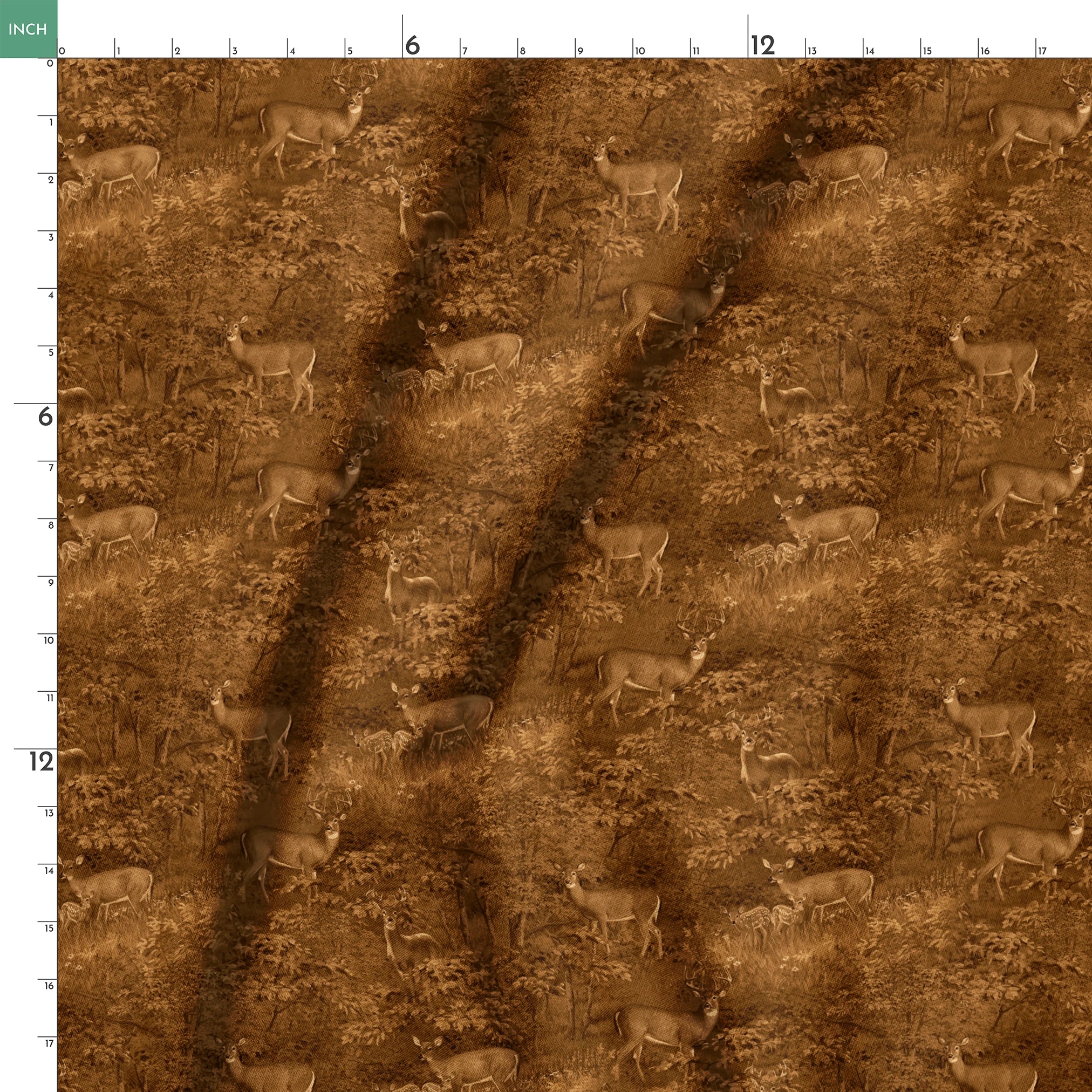  springs ruler 18x18